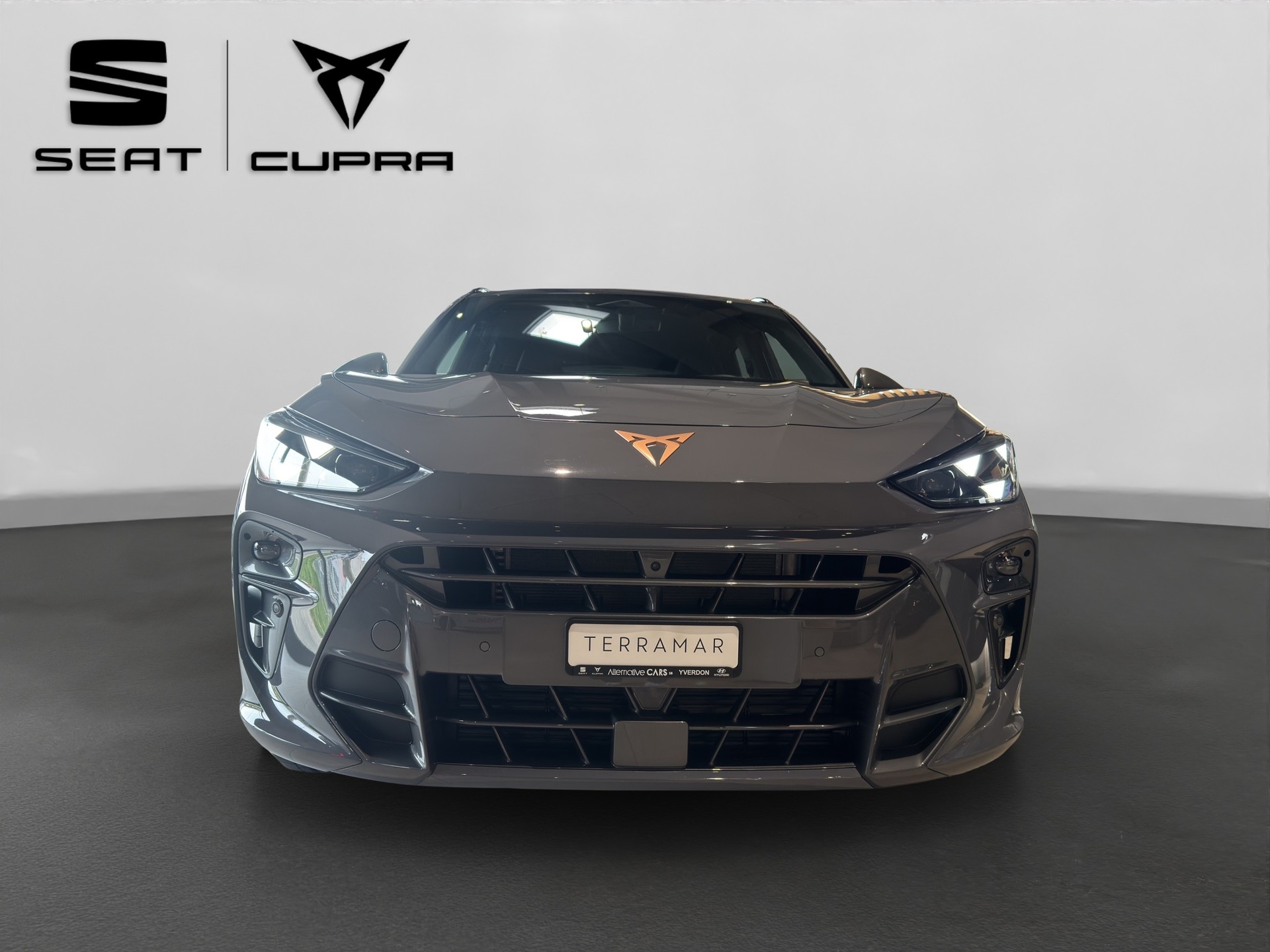 CUPRA Terramar 2.0 TSI DSG 4Drive VZ-image-8