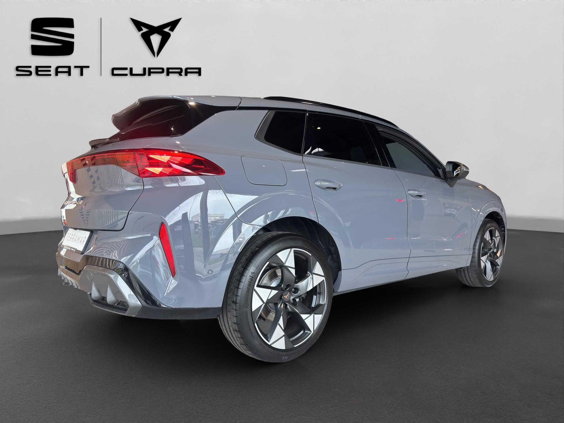 CUPRA Terramar 2.0 TSI DSG 4Drive VZ-image-12