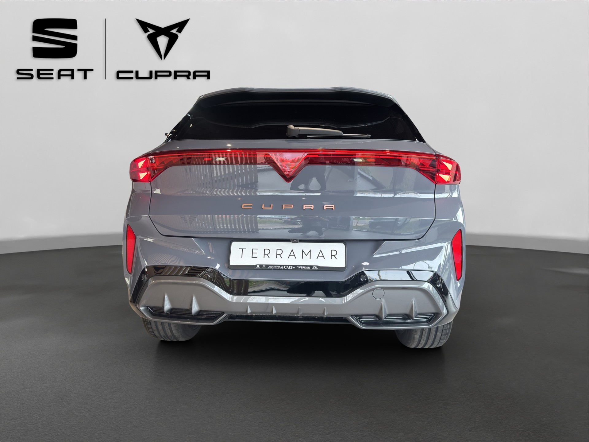 CUPRA Terramar 2.0 TSI DSG 4Drive VZ-image-11