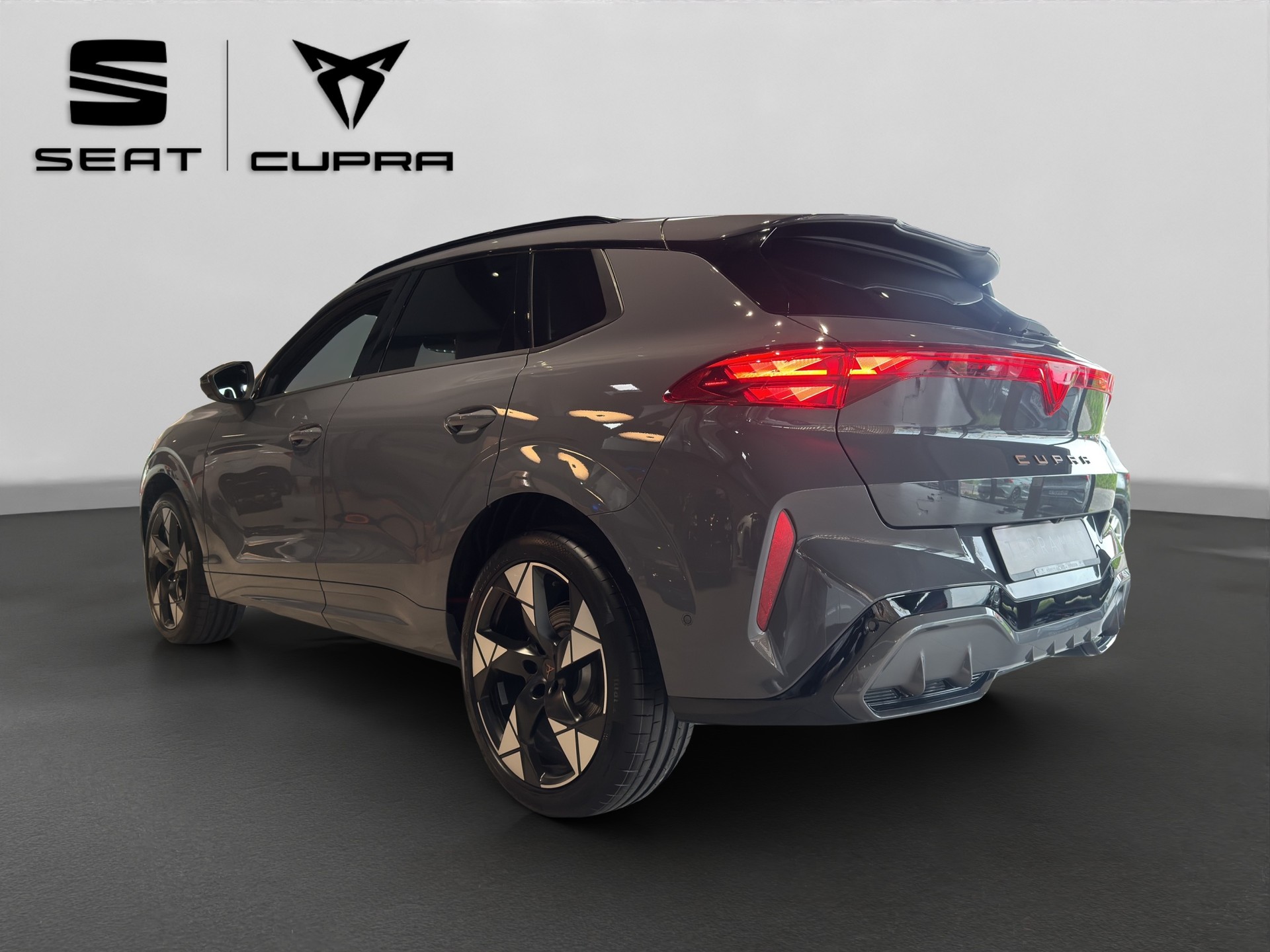 CUPRA Terramar 2.0 TSI DSG 4Drive VZ-image-10