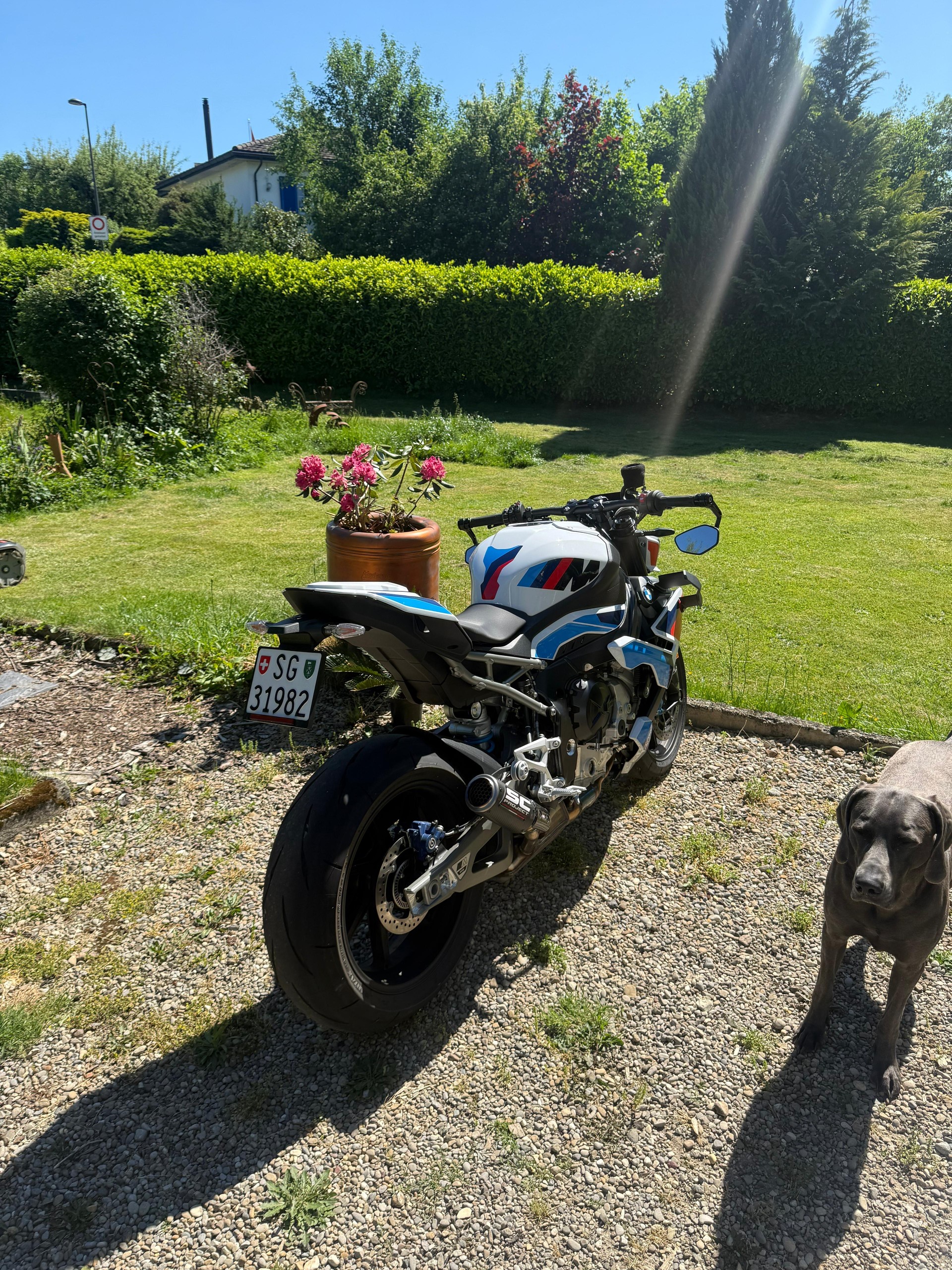 BMW M 1000 R-image-3
