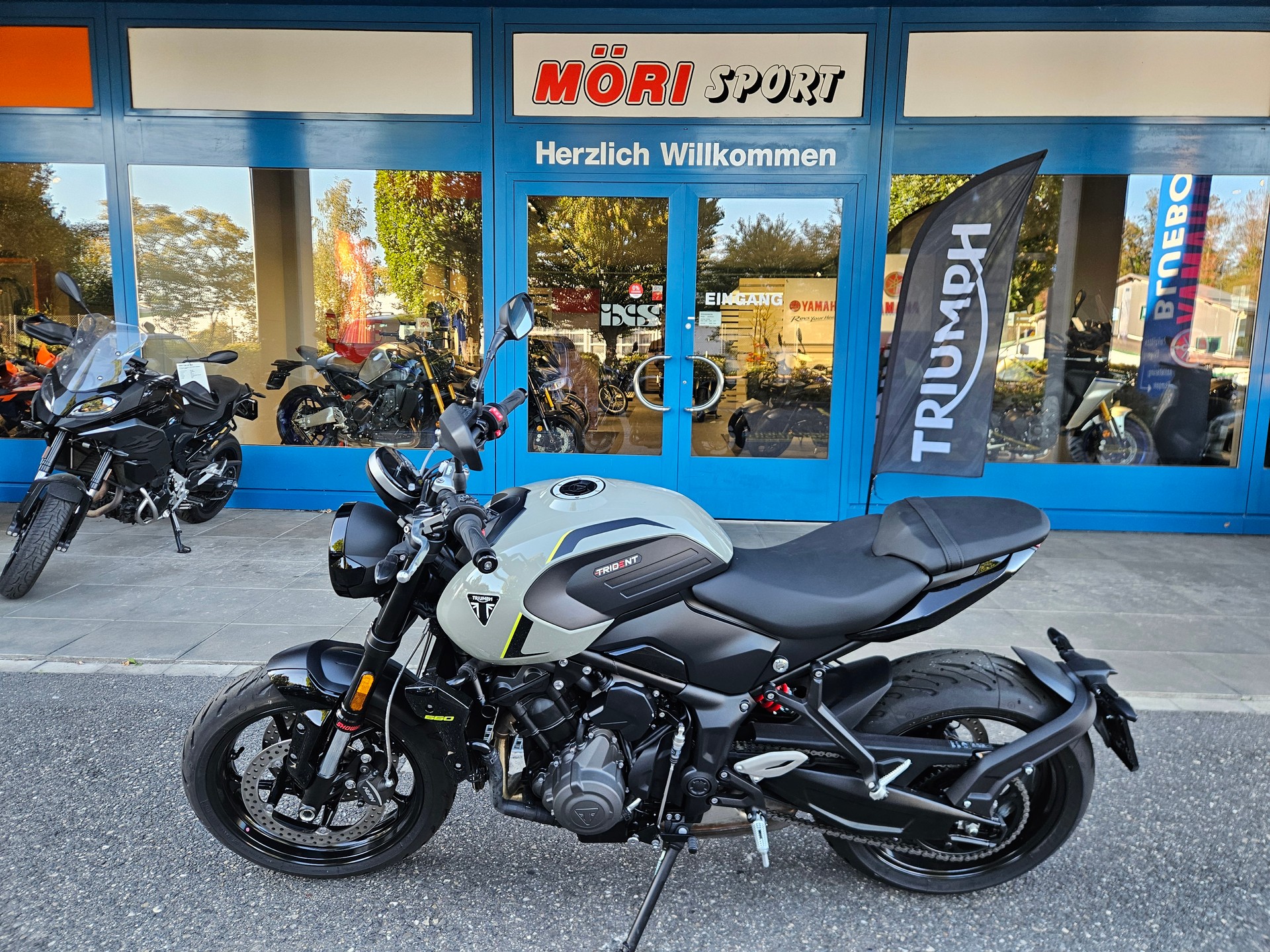 TRIUMPH Trident 660-image-3
