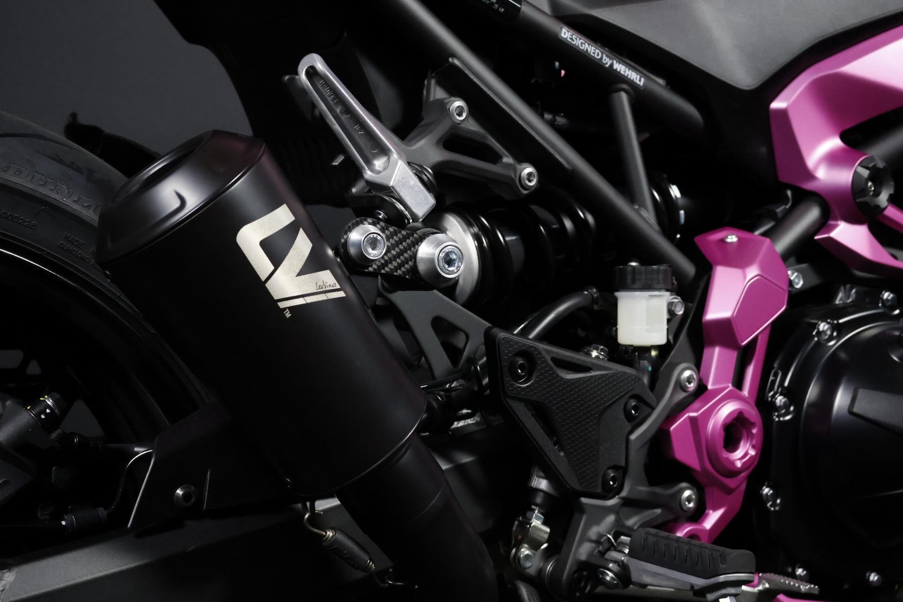 KAWASAKI Z 900 (91/70/35 KW) *Pretty Pink* Level 3-image-10