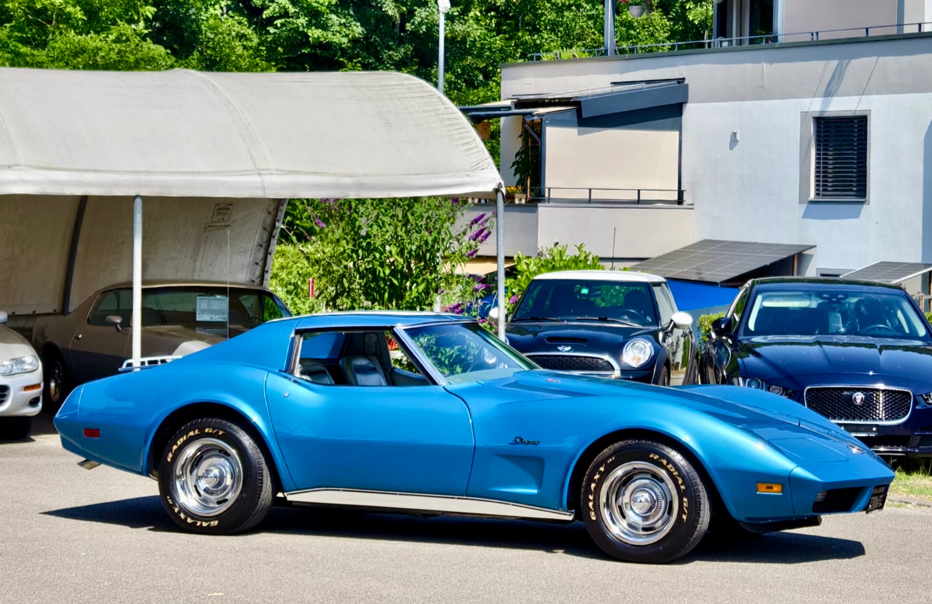 CHEVROLET Corvette Stingray Targa C3 454-V8-image-3