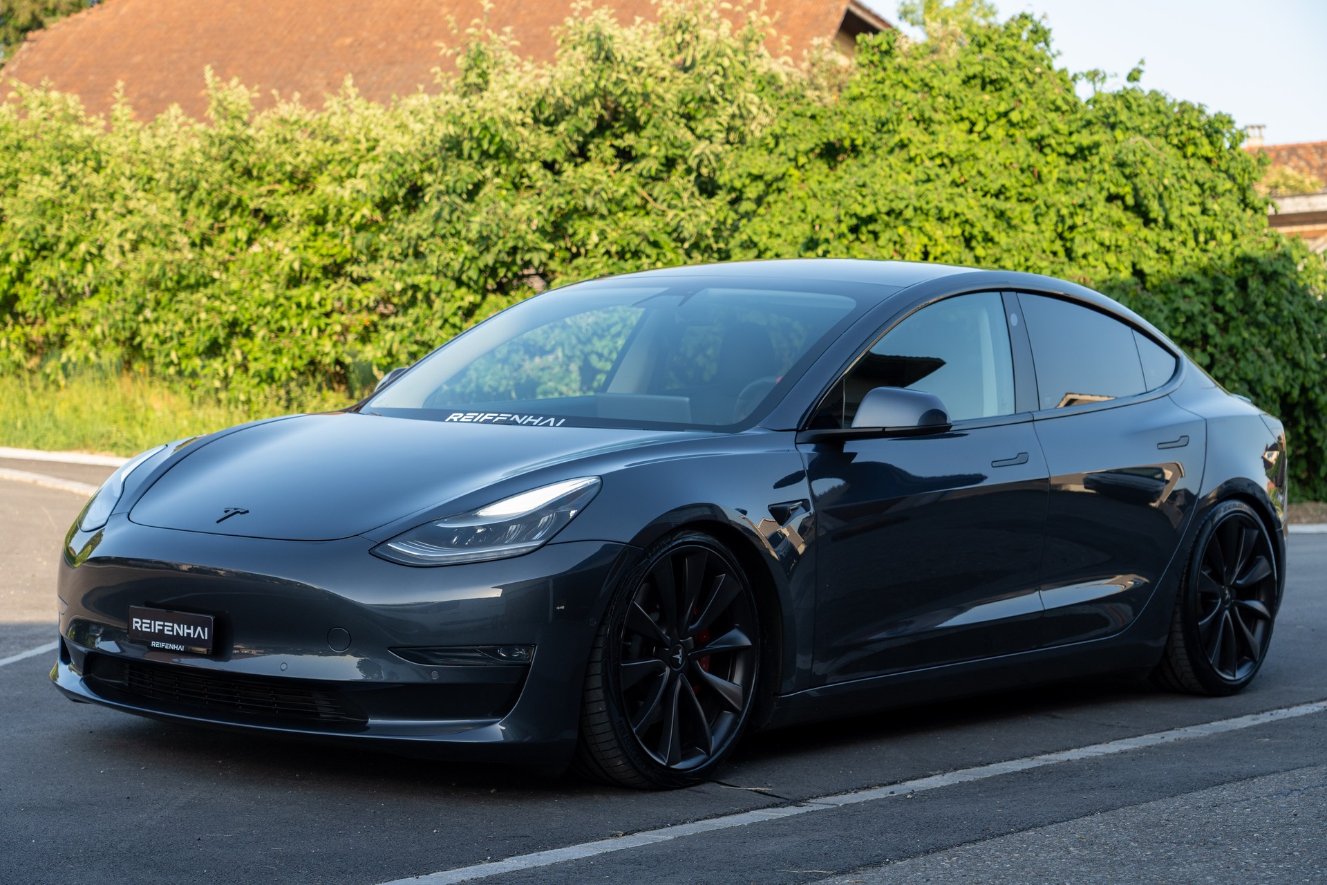 TESLA Model 3 Performance Dual Motor AWD-image-4