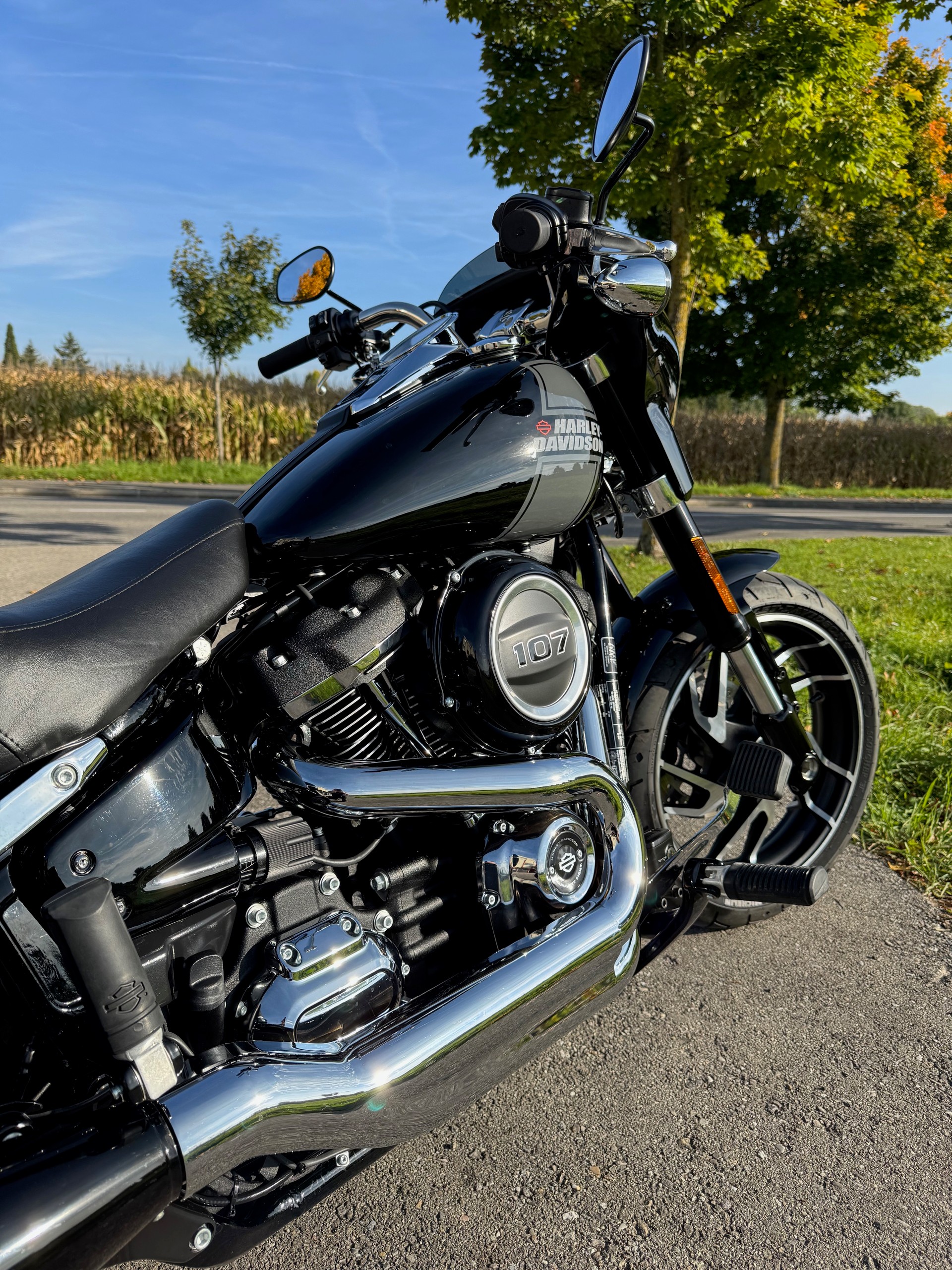 HARLEY-DAVIDSON FLSB Sport Glide 107 ABS-image-3