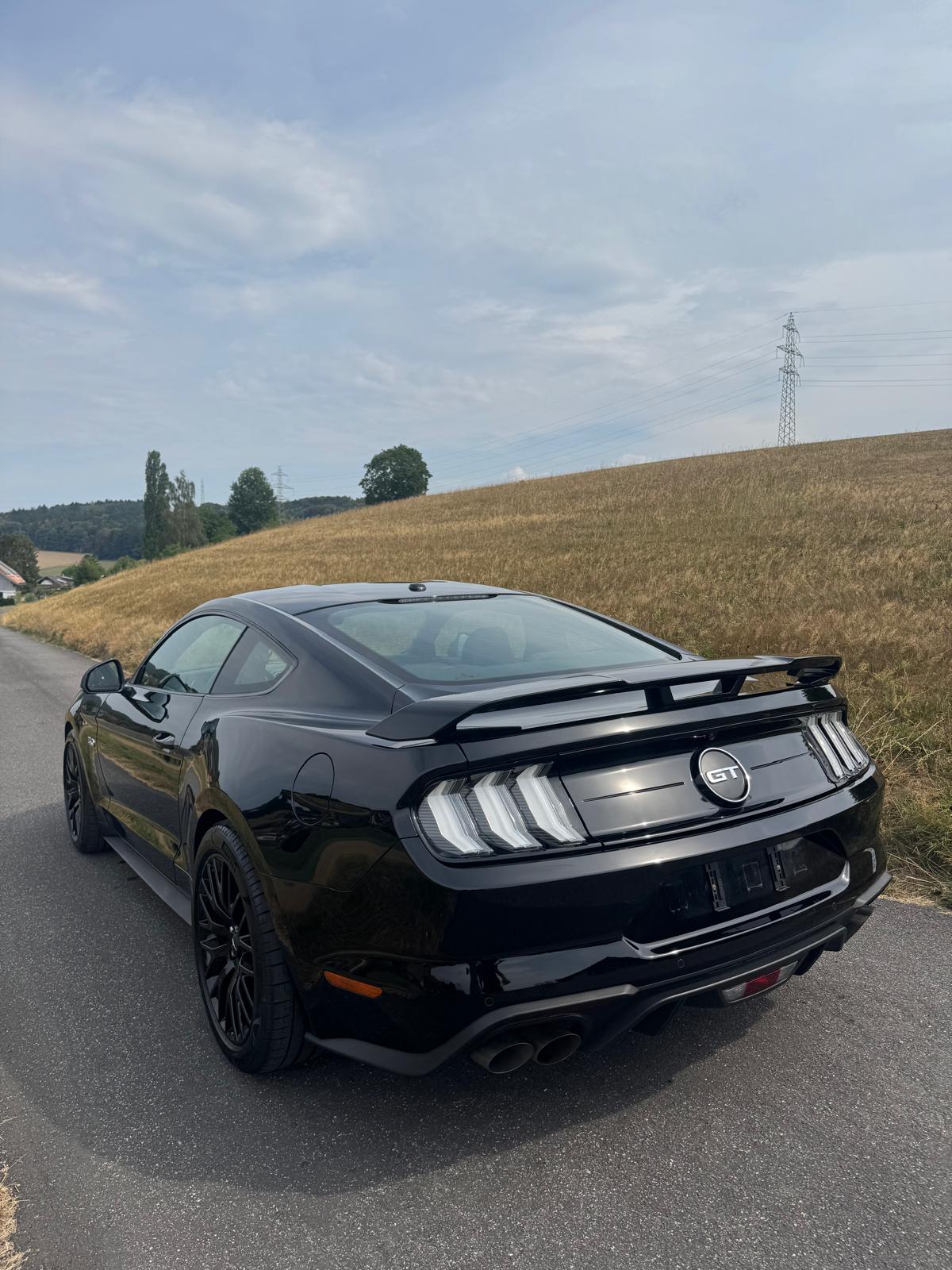 FORD 5.0 V8 GT-image-3