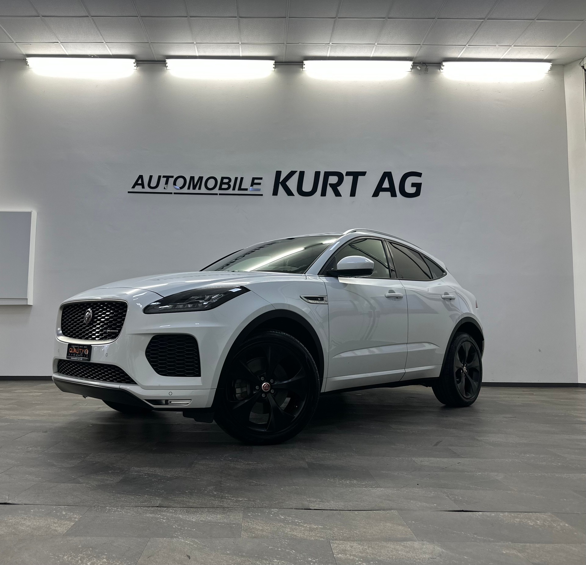 JAGUAR E-Pace 2.0 P250 R-Dynamic SE AWD Automatik-showroom-element-1