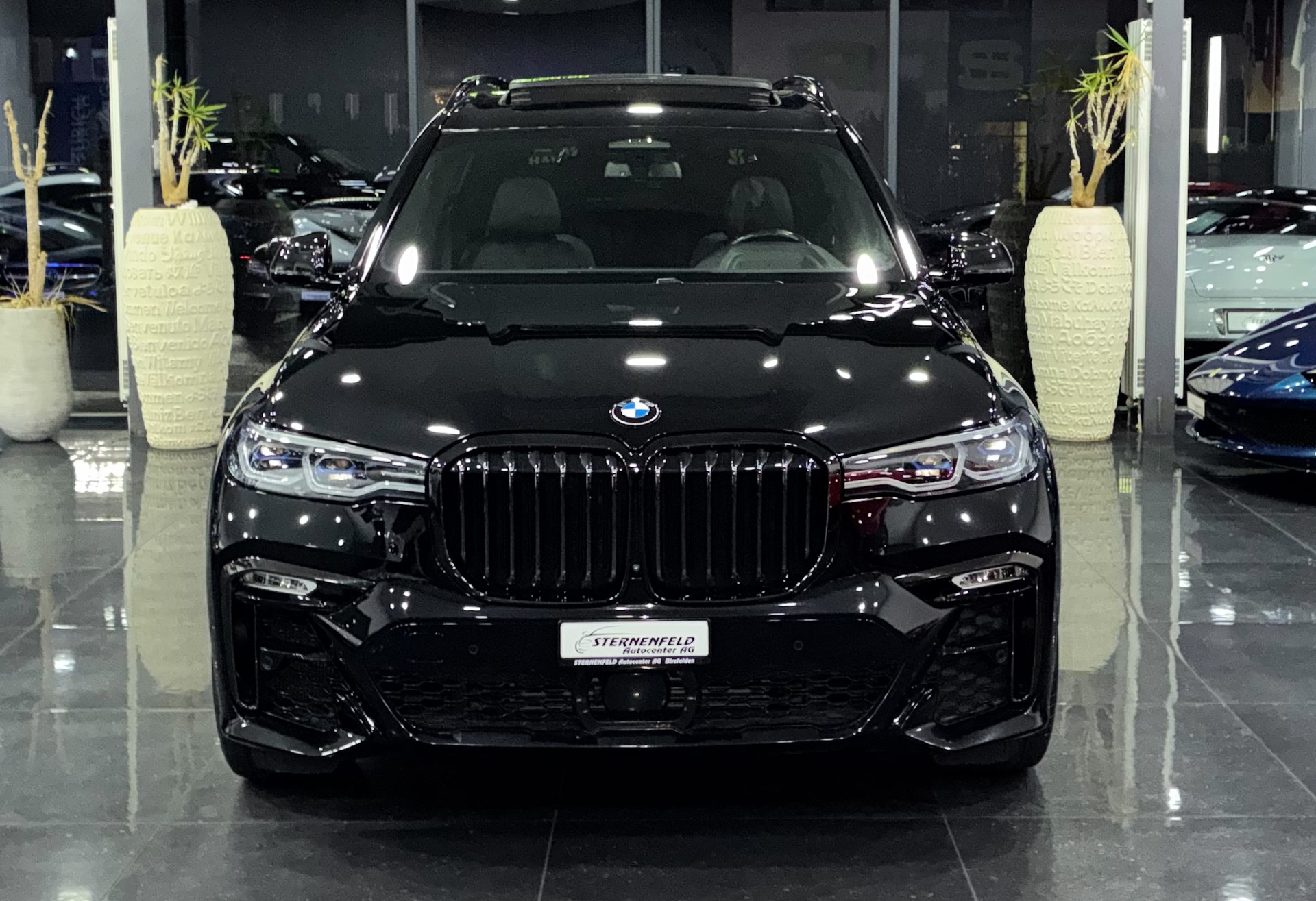 BMW X7 xDrive 30d Steptronic-image-1