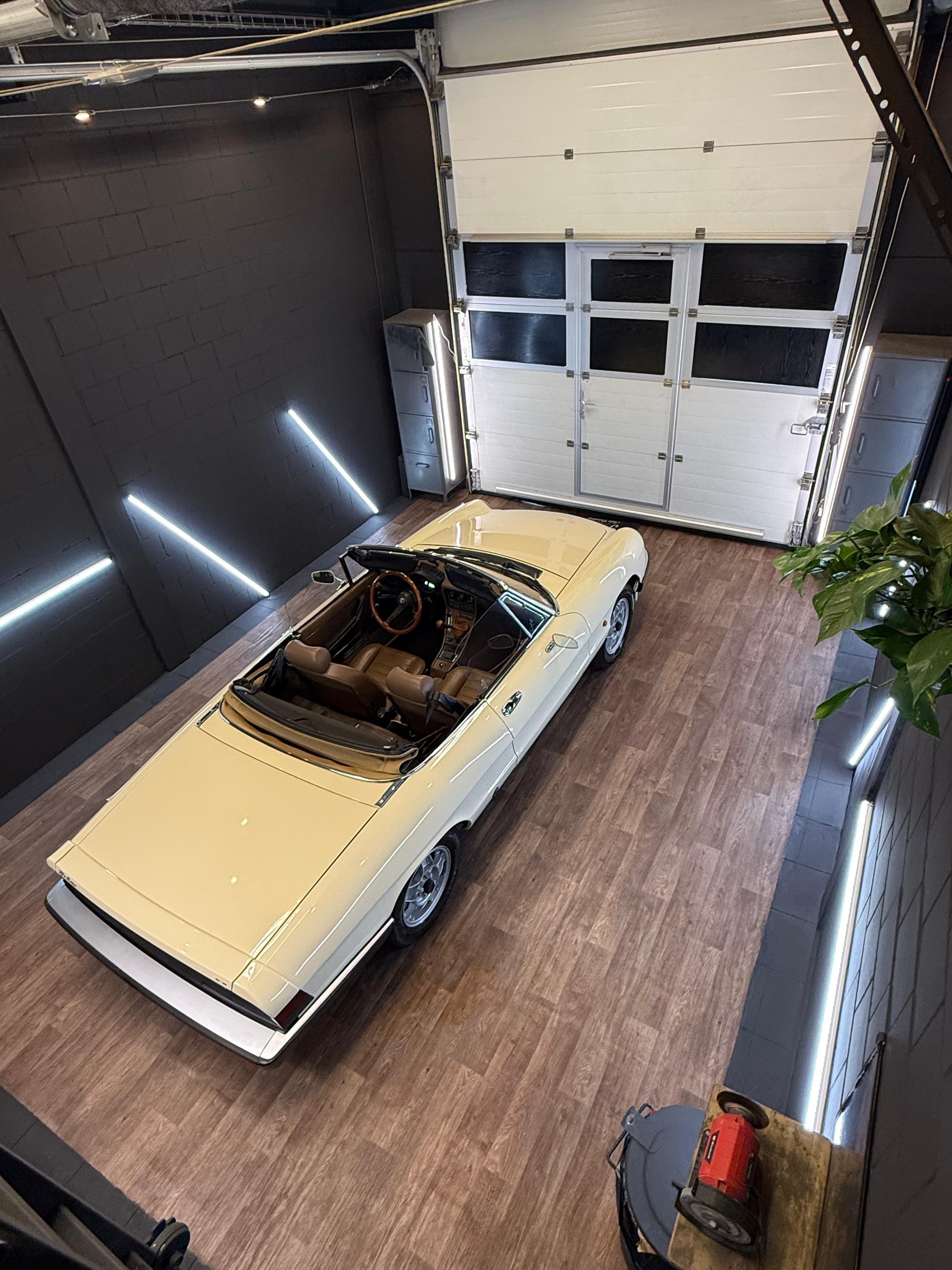 ALFA ROMEO Spider 2.0 (Veloce) 128 PS, Doppelvergaser, Veteran 08.2025-image-13