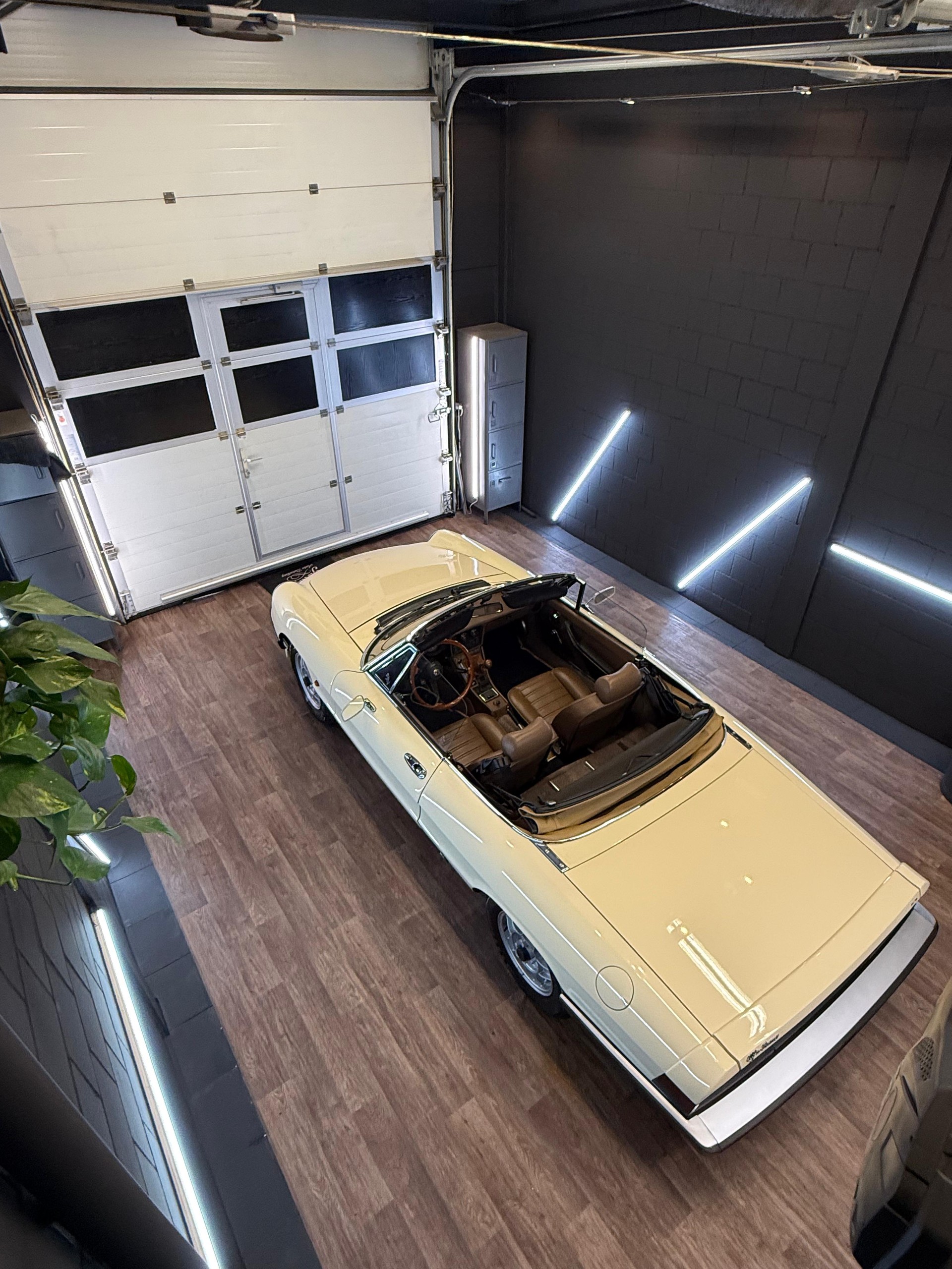 ALFA ROMEO Spider 2.0 (Veloce) 128 PS, Doppelvergaser, Veteran 08.2025-image-7