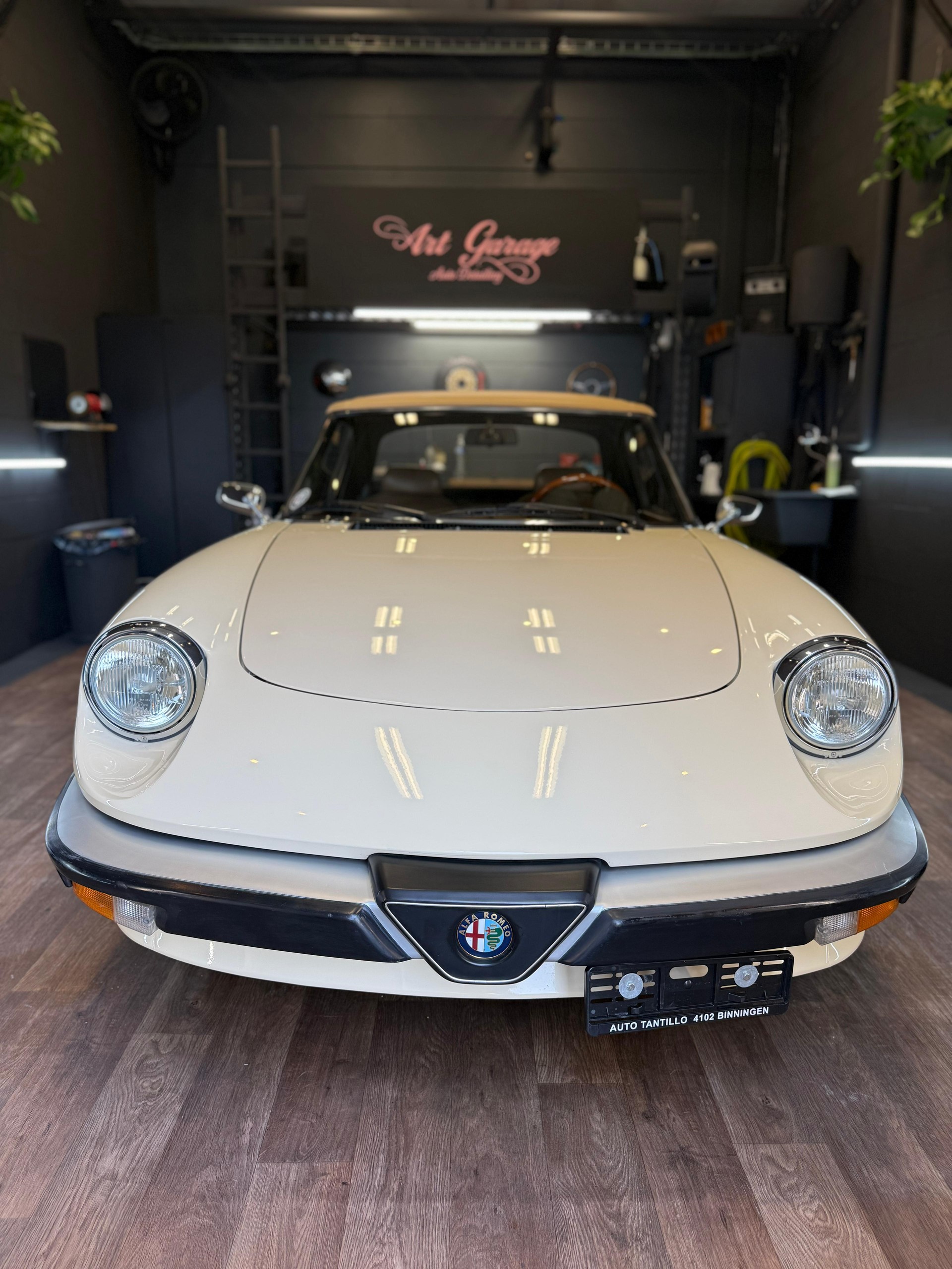 ALFA ROMEO Spider 2.0 (Veloce) 128 PS, Doppelvergaser, Veteran 08.2025-showroom-element-2