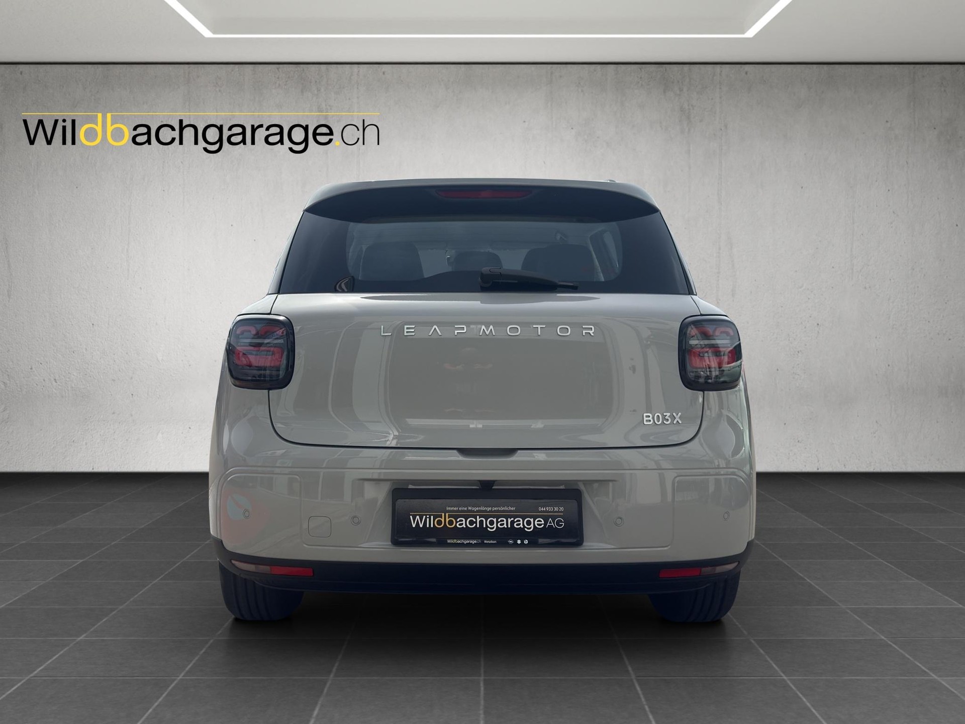 LEAPMOTOR B03X EV-showroom-element-3