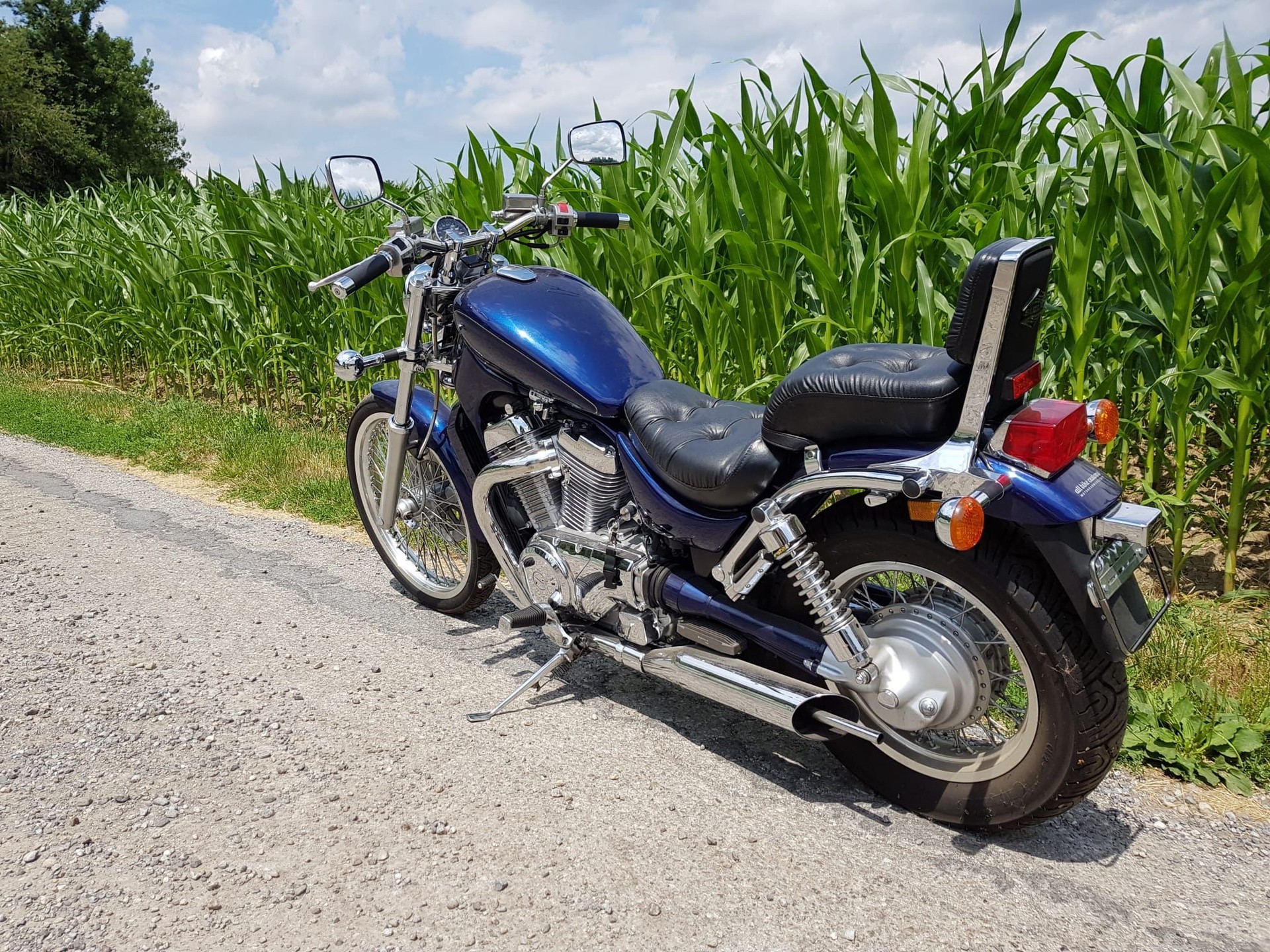 SUZUKI VS 800 GL Intruder R-X-image-2