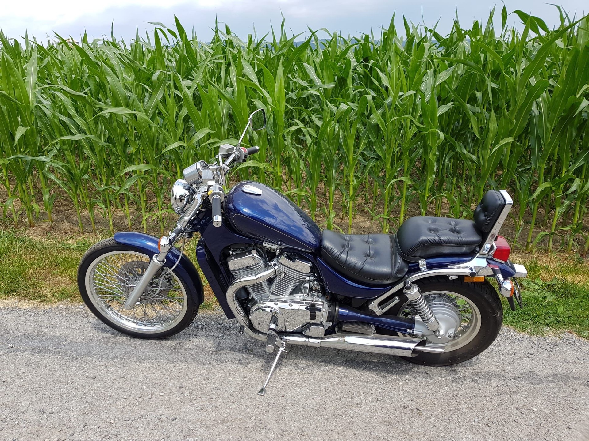 SUZUKI VS 800 GL Intruder R-X-image-0