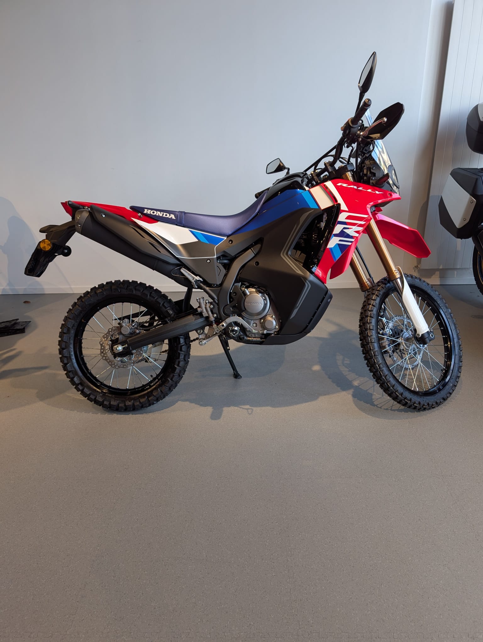 HONDA CRF 300 RL Rally-image-1