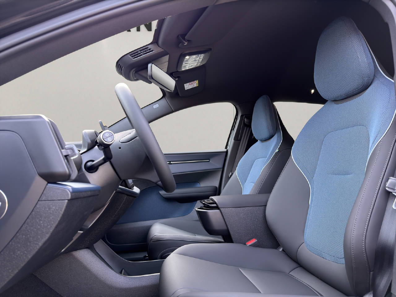 VOLVO EX30 E60 Plus BLACK EDITION-image-8