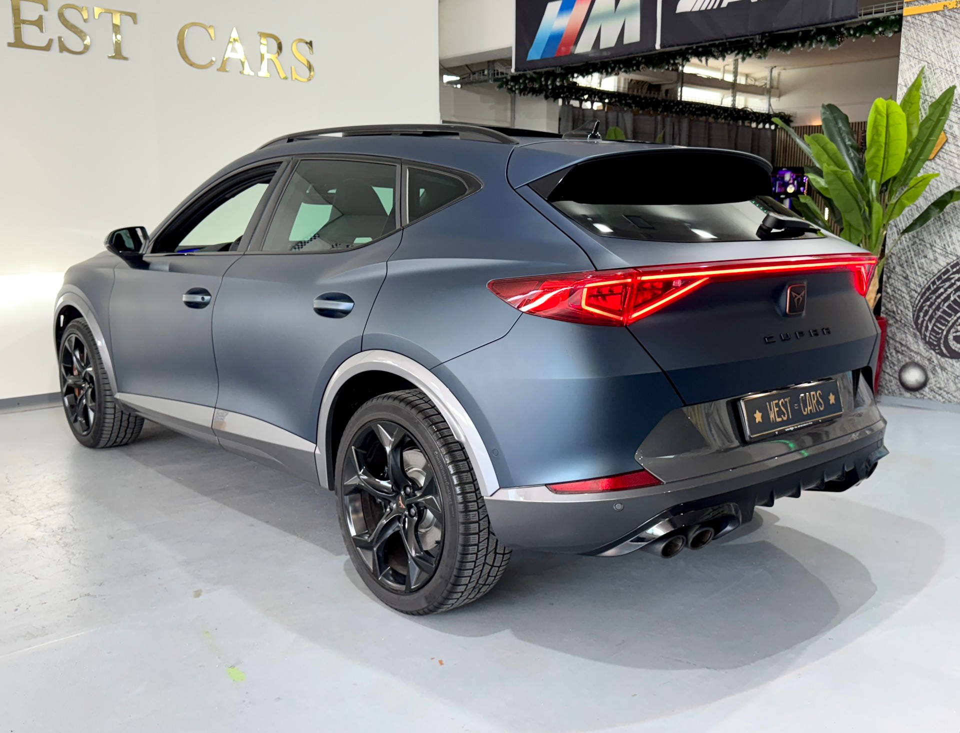CUPRA Formentor 2.0 TSI el Primero 4Drive DSG **Mattlackierung**Vollausstattung**-image-4