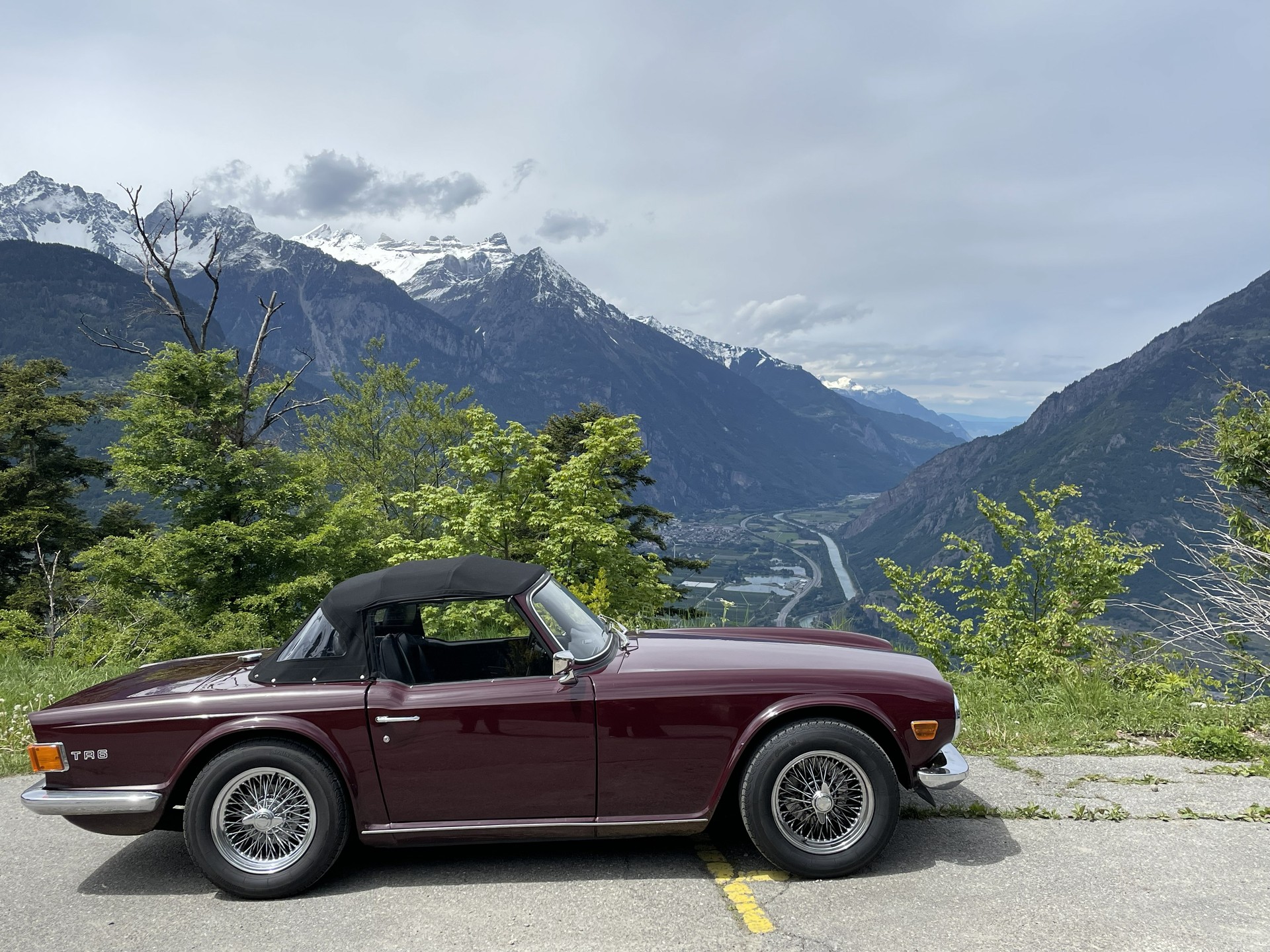 TRIUMPH TR6