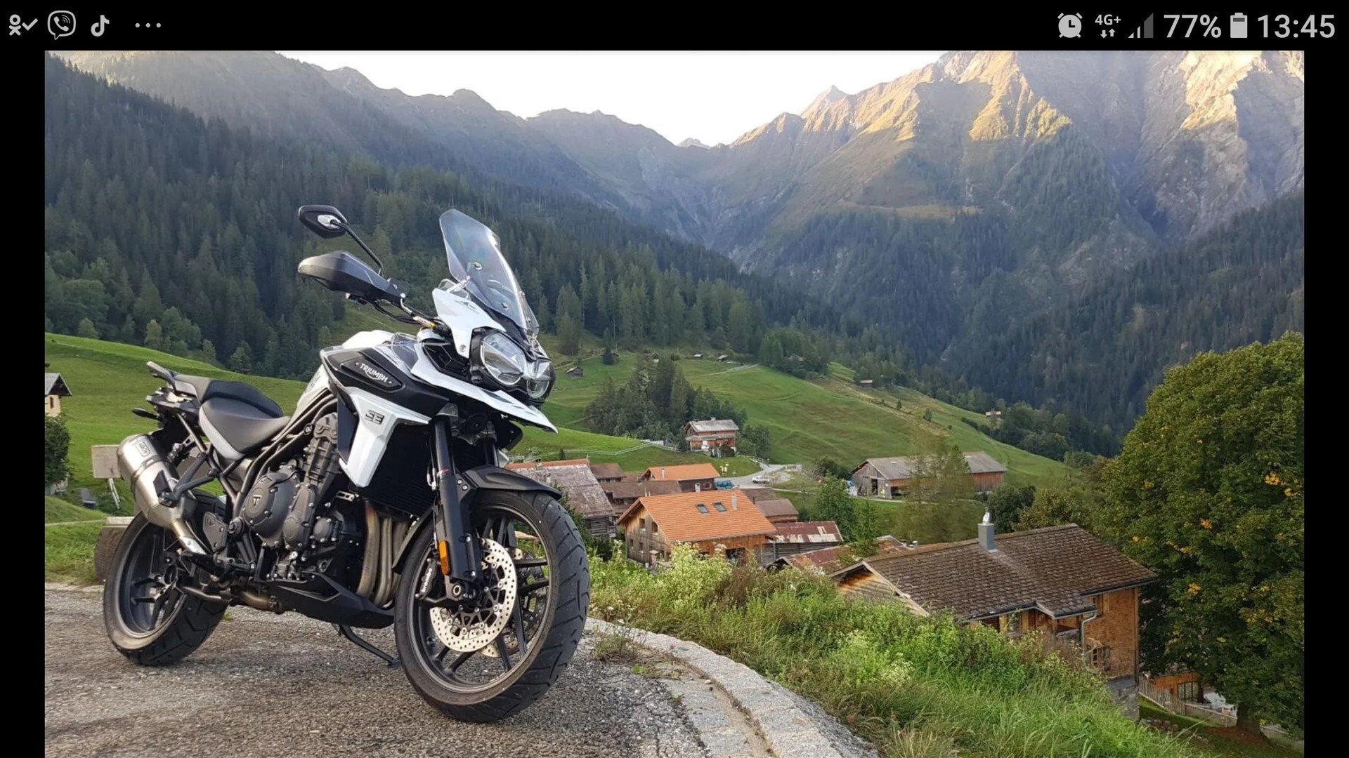 TRIUMPH ALPINE-image-0