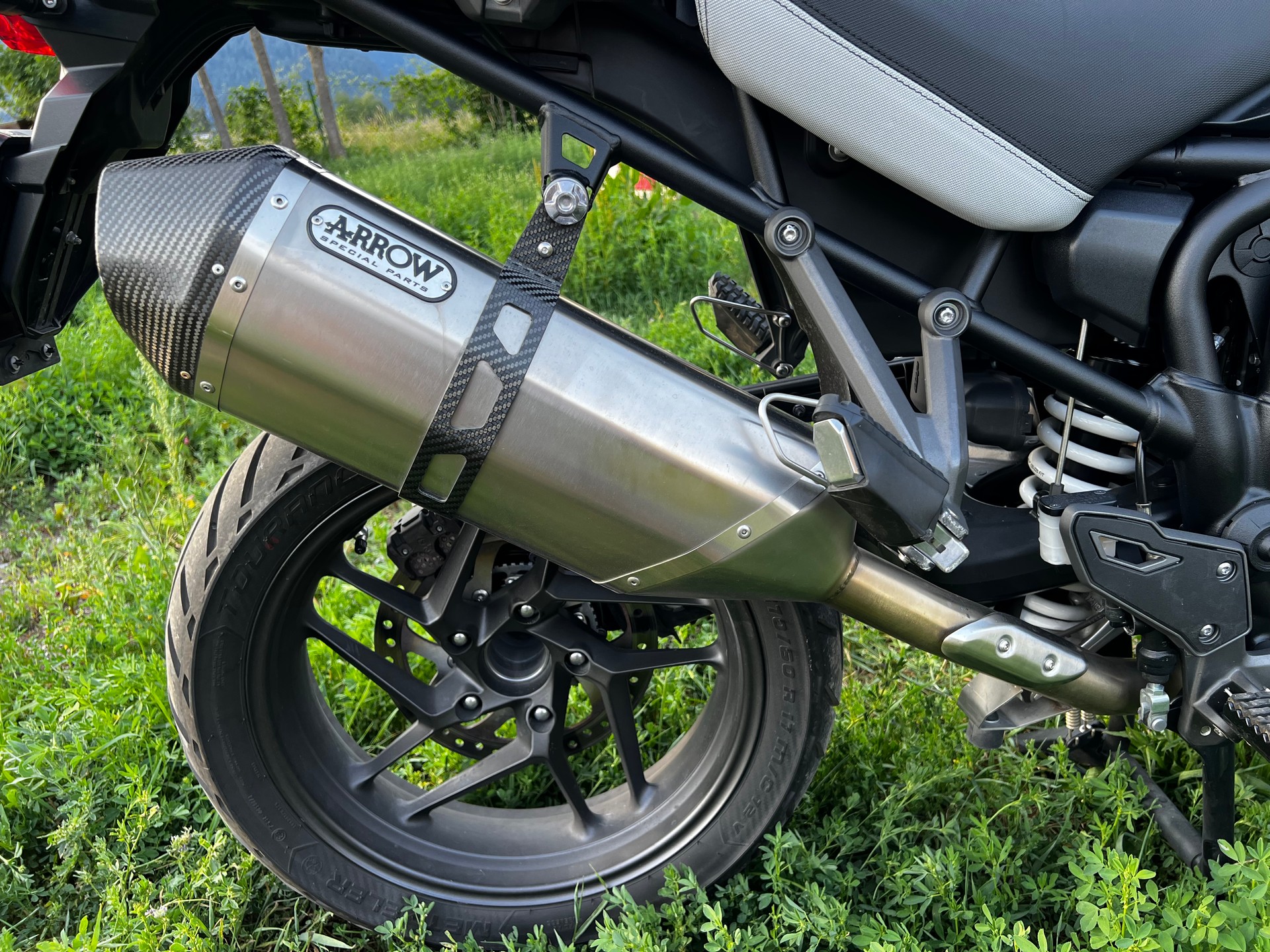TRIUMPH ALPINE-image-8
