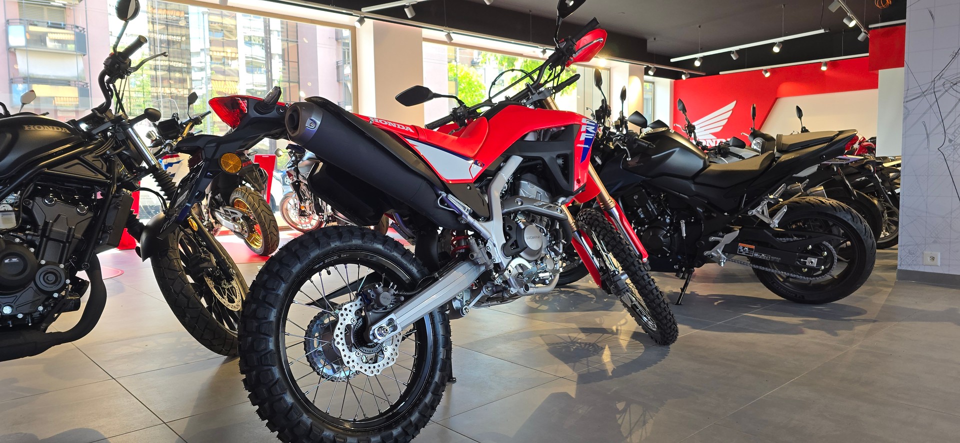 HONDA CRF 300 L-image-6