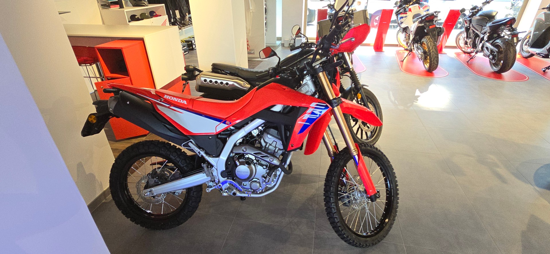 HONDA CRF 300 L-image-2
