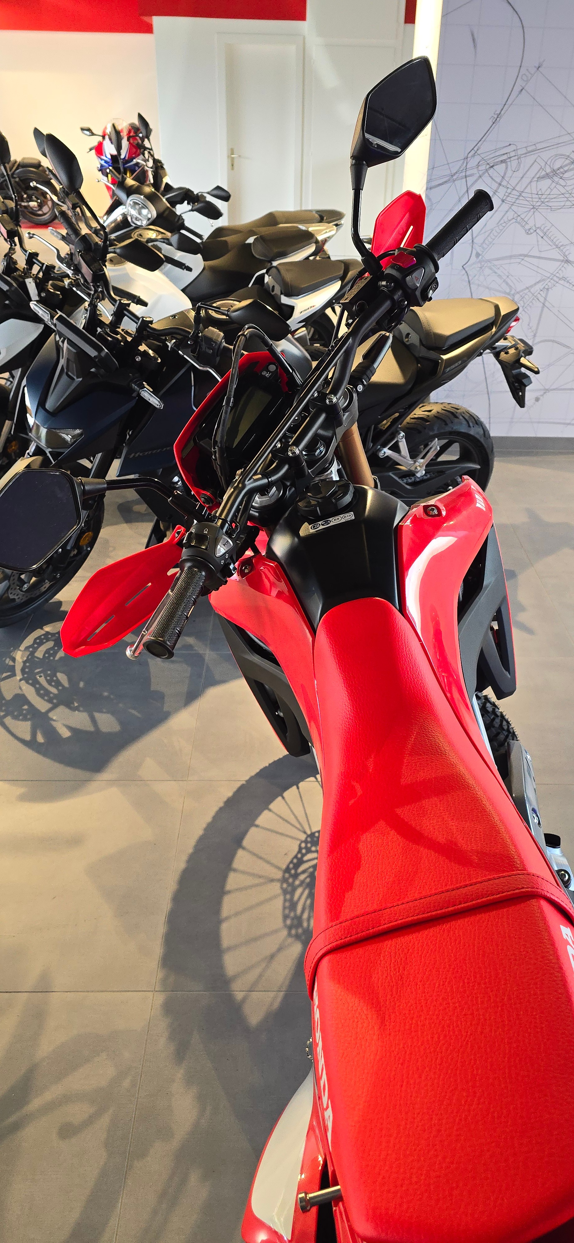 HONDA CRF 300 L-image-5