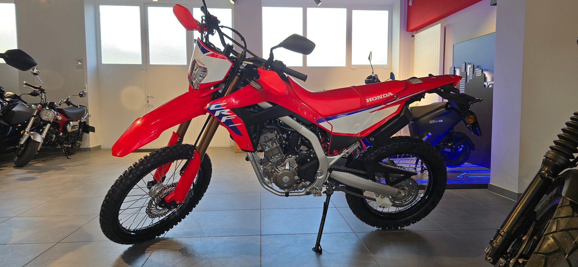 HONDA CRF 300 L-image-3