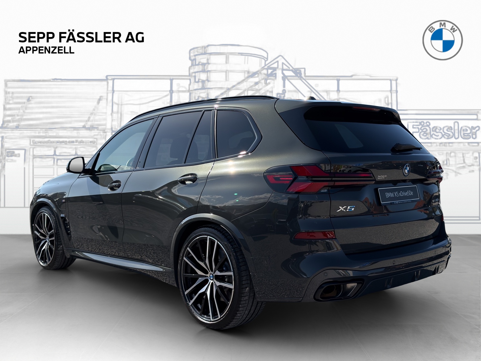 BMW X5 xDrive 50e M Sport Pro Steptronic-showroom-element-2
