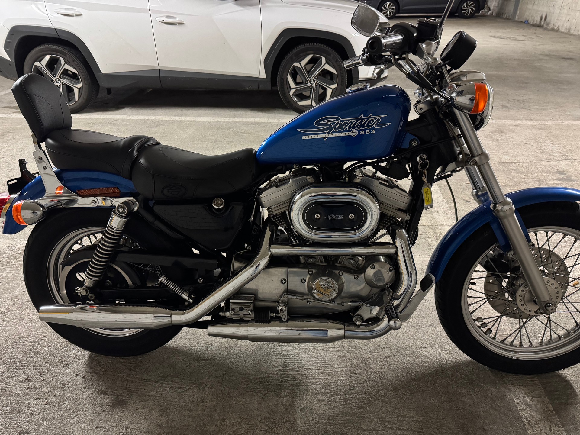 HARLEY-DAVIDSON XL 883 STD Sportster-image-3