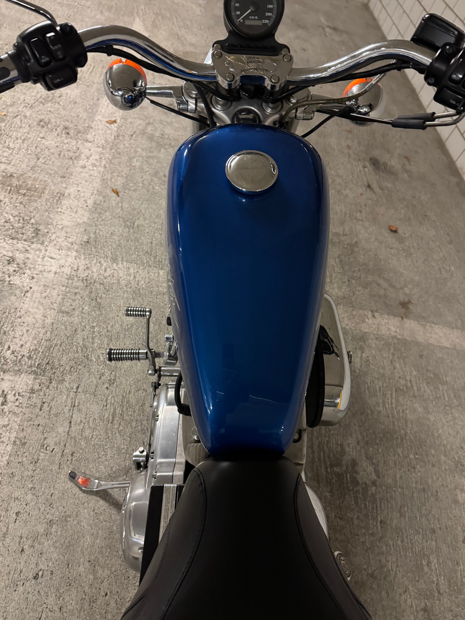 HARLEY-DAVIDSON XL 883 STD Sportster-image-7