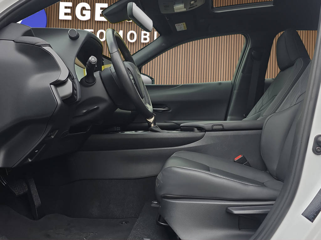 LEXUS UX 250h F-Line-image-11