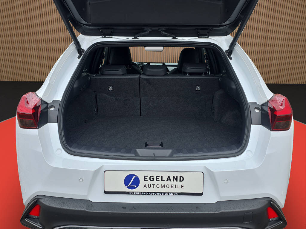 LEXUS UX 250h F-Line-image-14