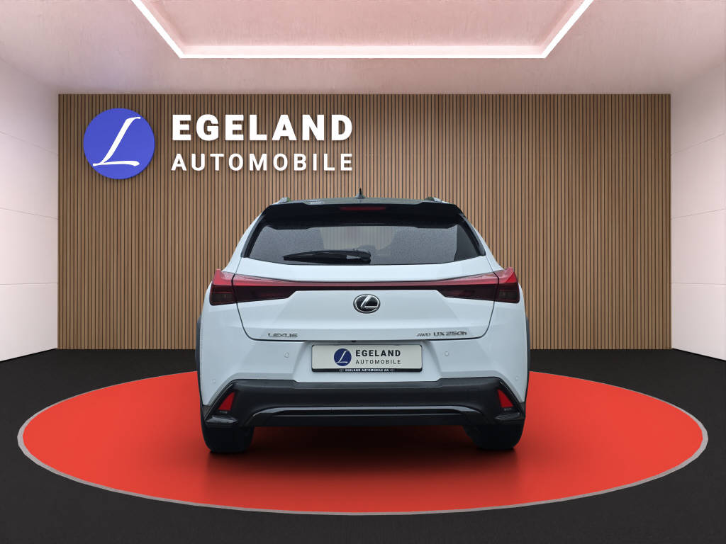 LEXUS UX 250h F-Line-image-5