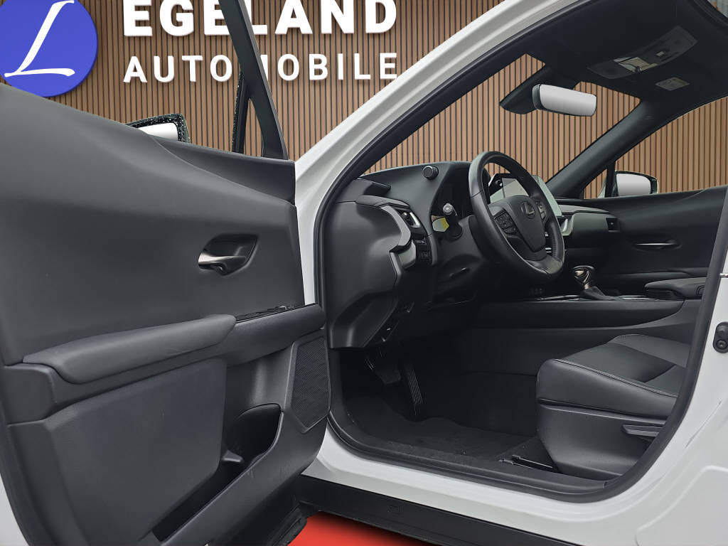 LEXUS UX 250h F-Line-image-10