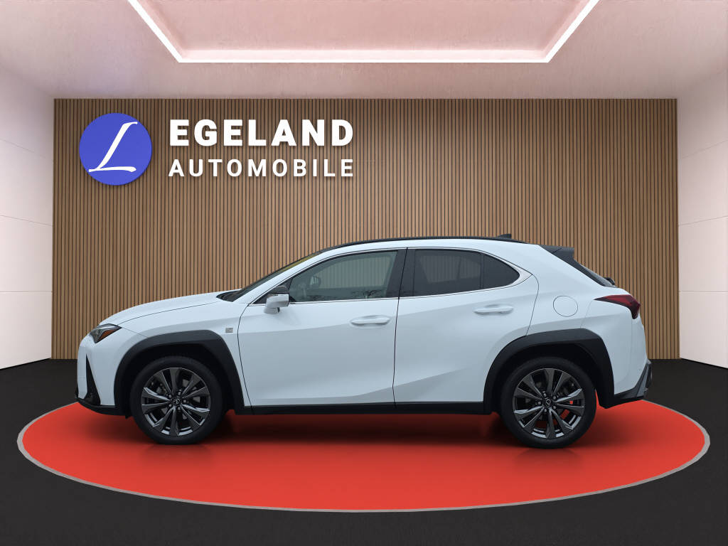 LEXUS UX 250h F-Line-image-6