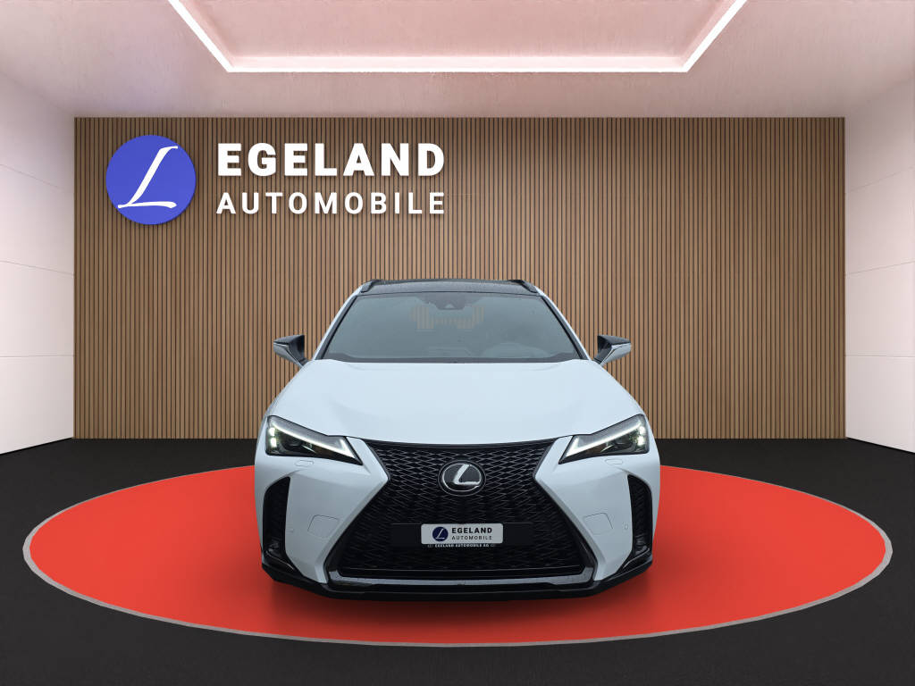 LEXUS UX 250h F-Line-showroom-element-2