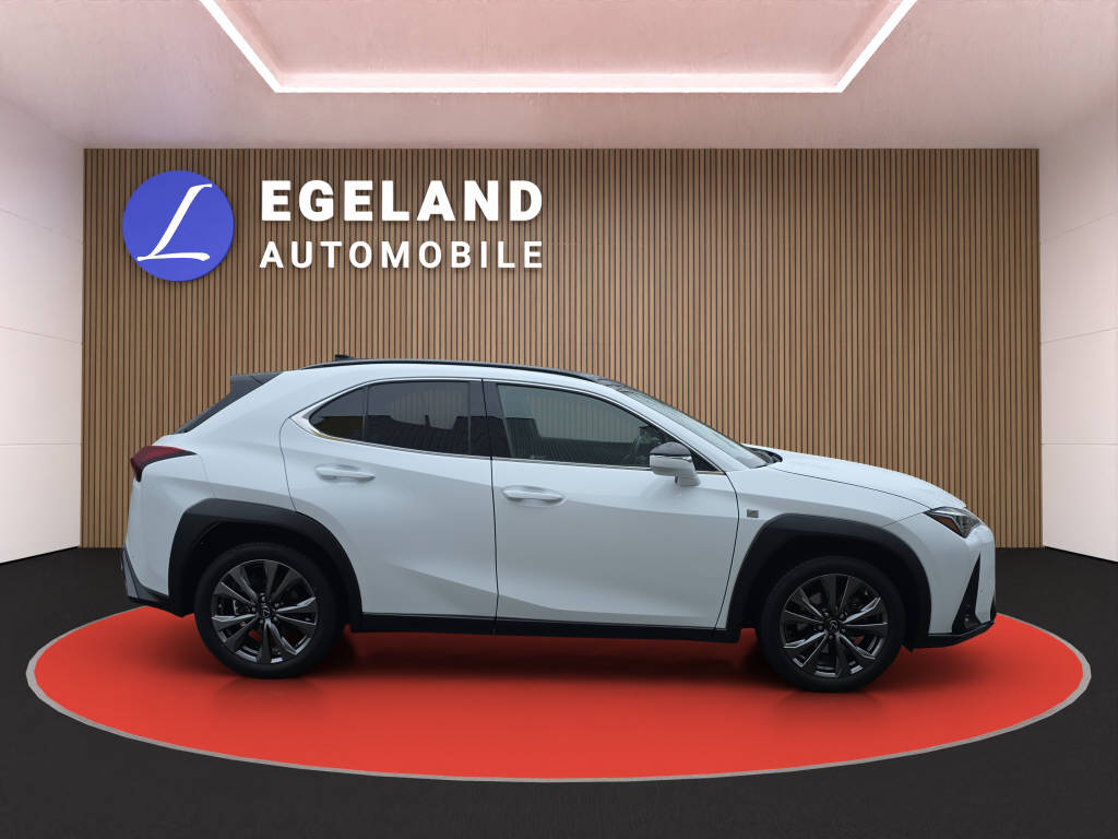 LEXUS UX 250h F-Line-image-7