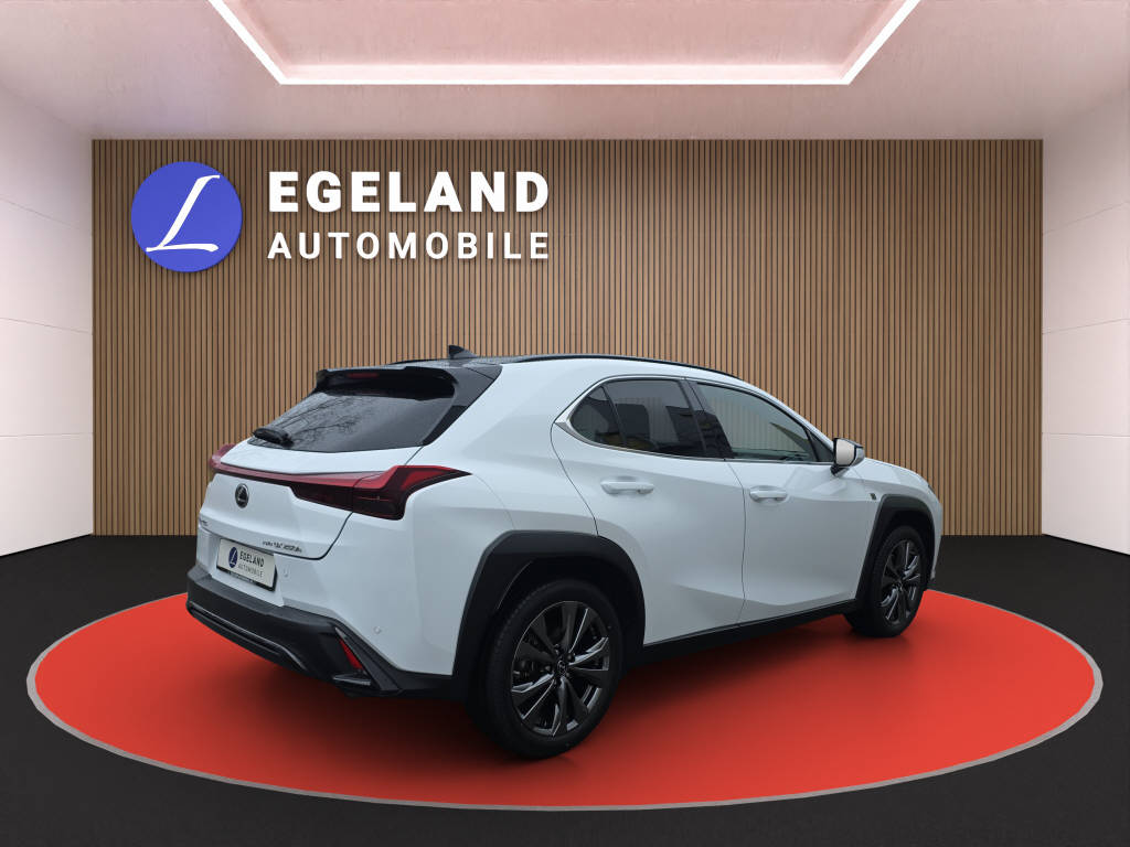 LEXUS UX 250h F-Line-showroom-element-3