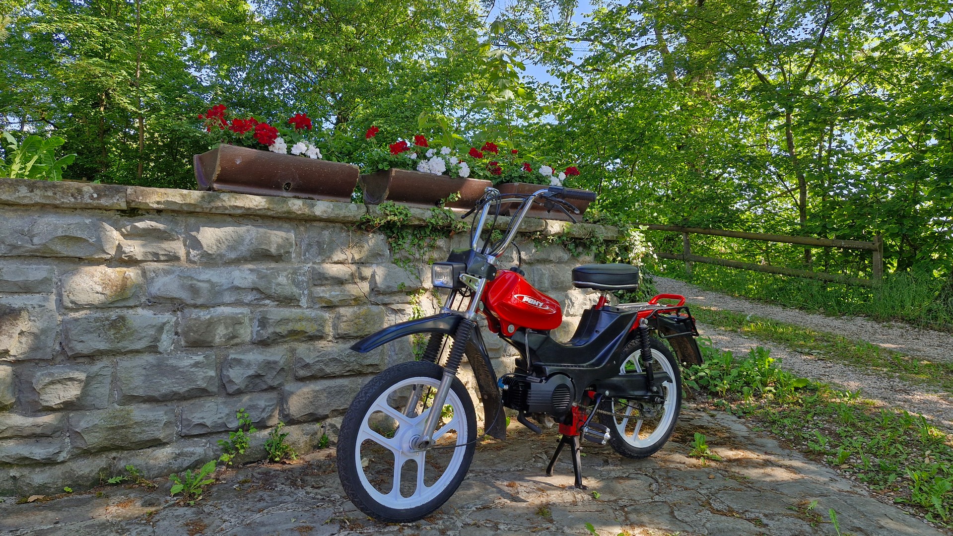 PONY Cross 521-image-0