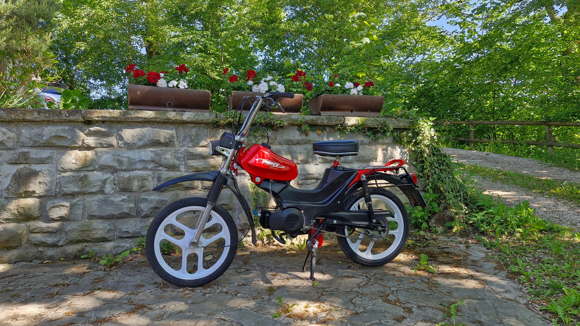 PONY Cross 521-image-1