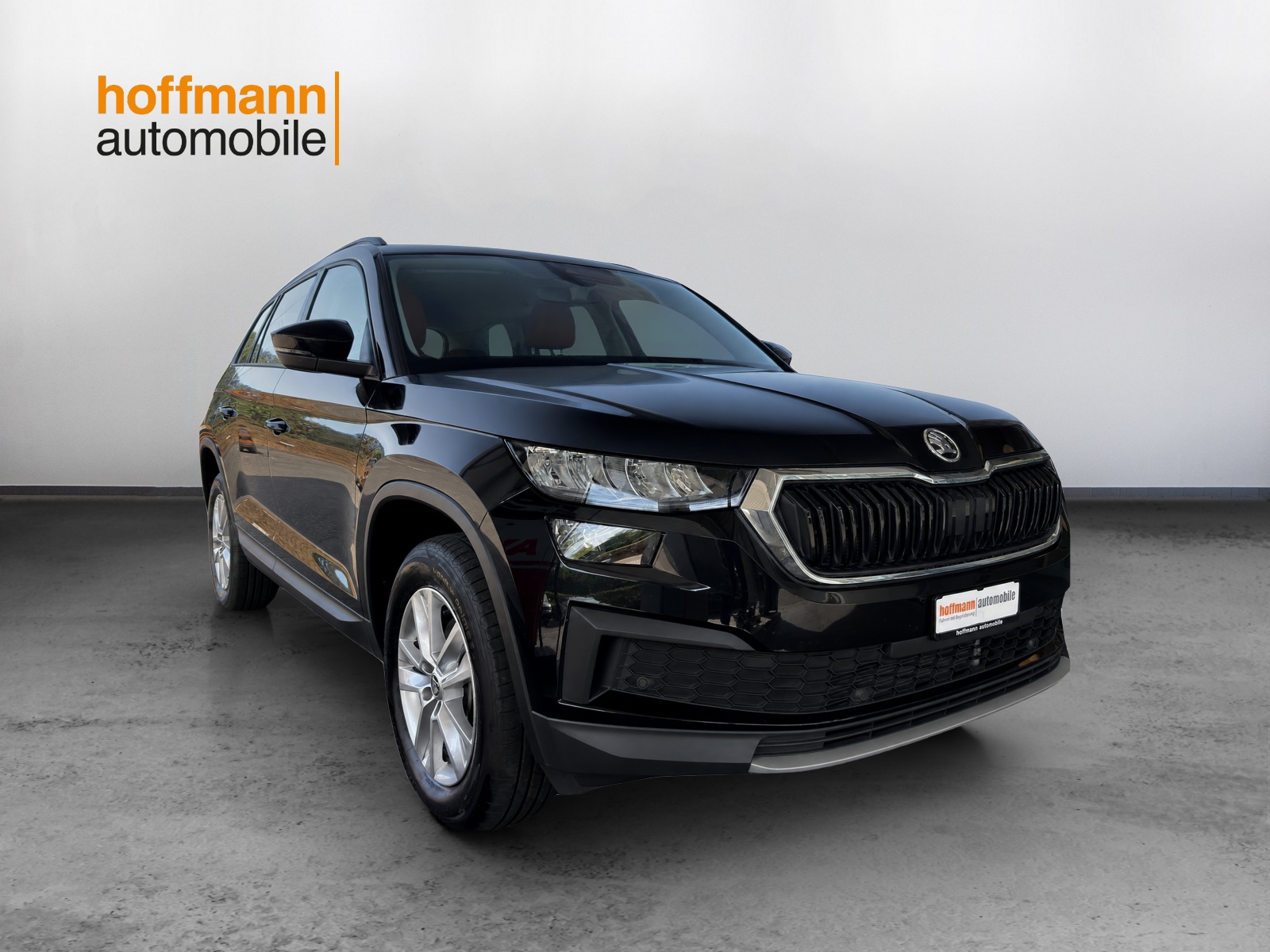 SKODA Kodiaq 2.0 TDI CR Ambition 4x4 DSG-showroom-element-2