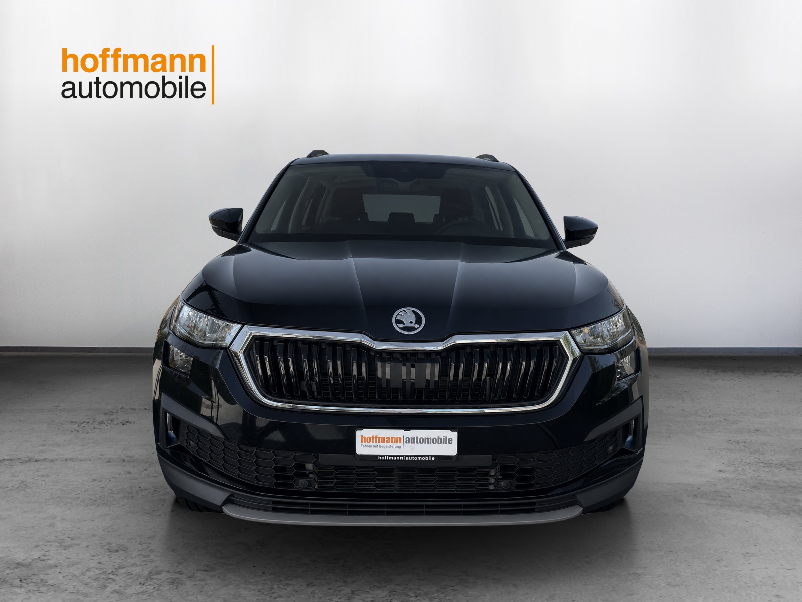 SKODA Kodiaq 2.0 TDI CR Ambition 4x4 DSG-showroom-element-1