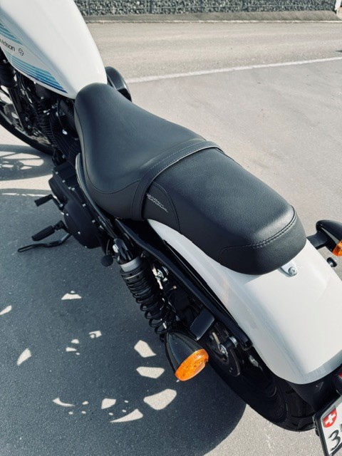 HARLEY-DAVIDSON XL 1200 NS Iron ABS-image-7
