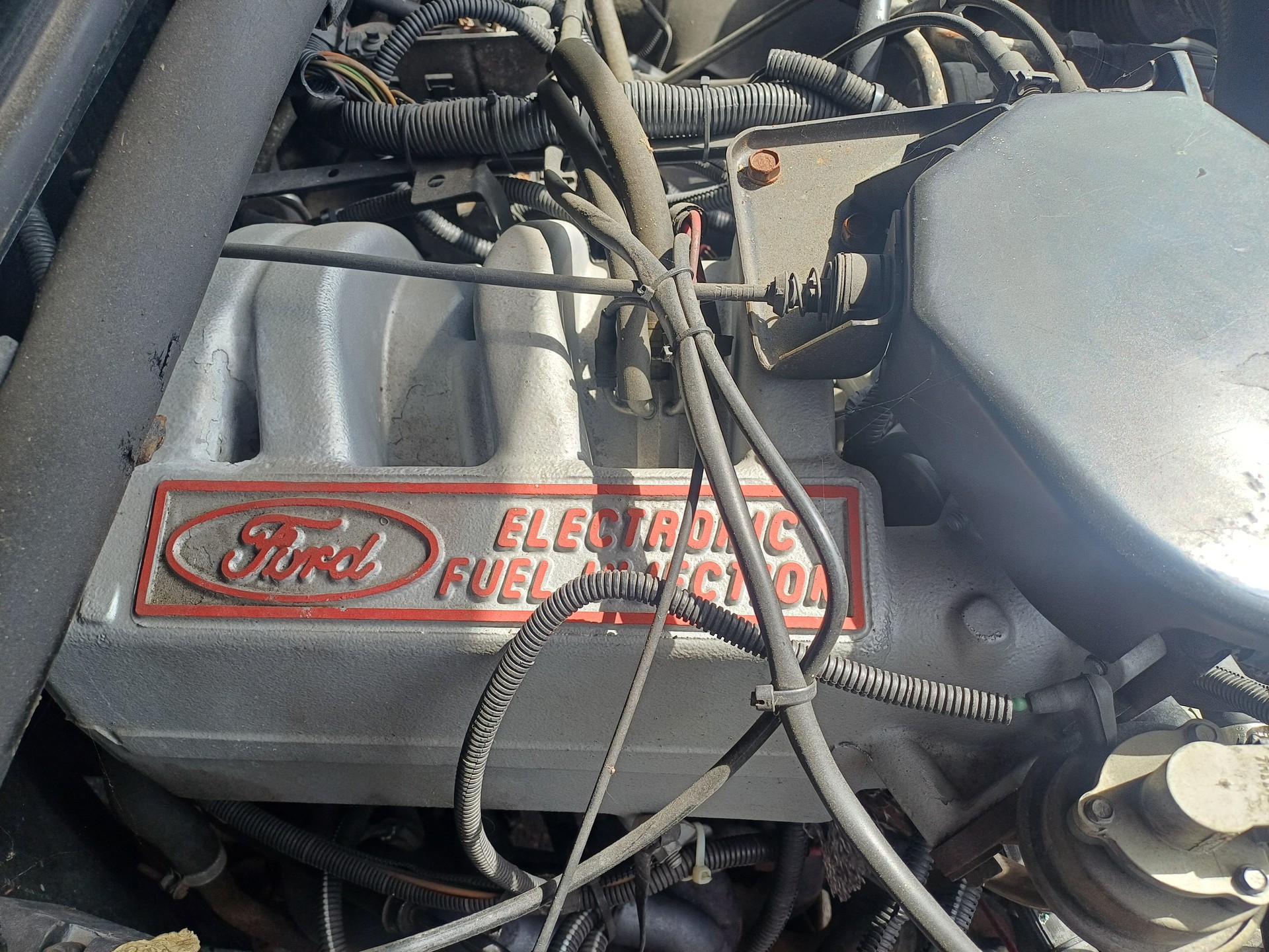 FORD XLT 5.0 V8-image-14
