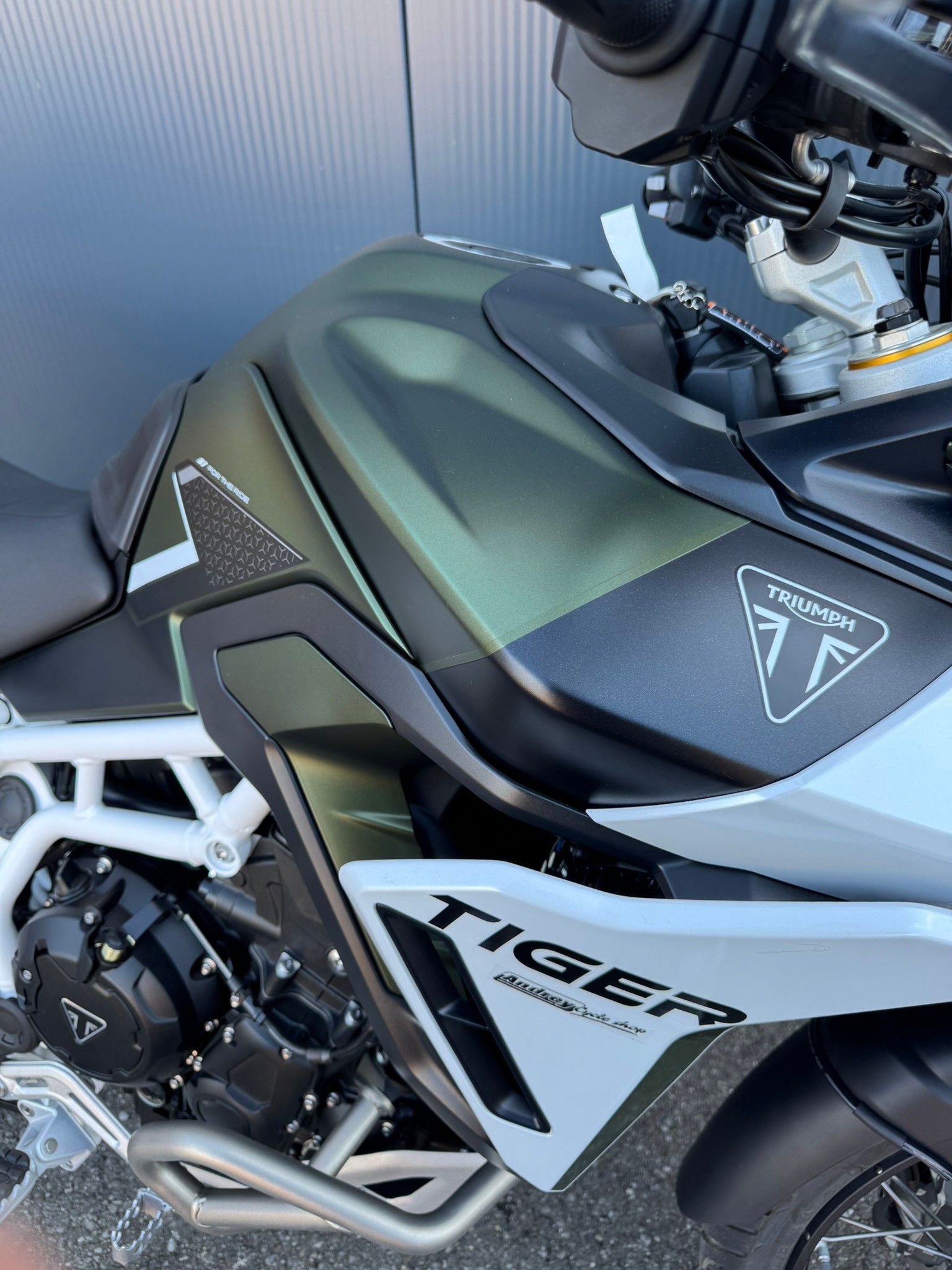 TRIUMPH Tiger 900 Rally Pro-image-6