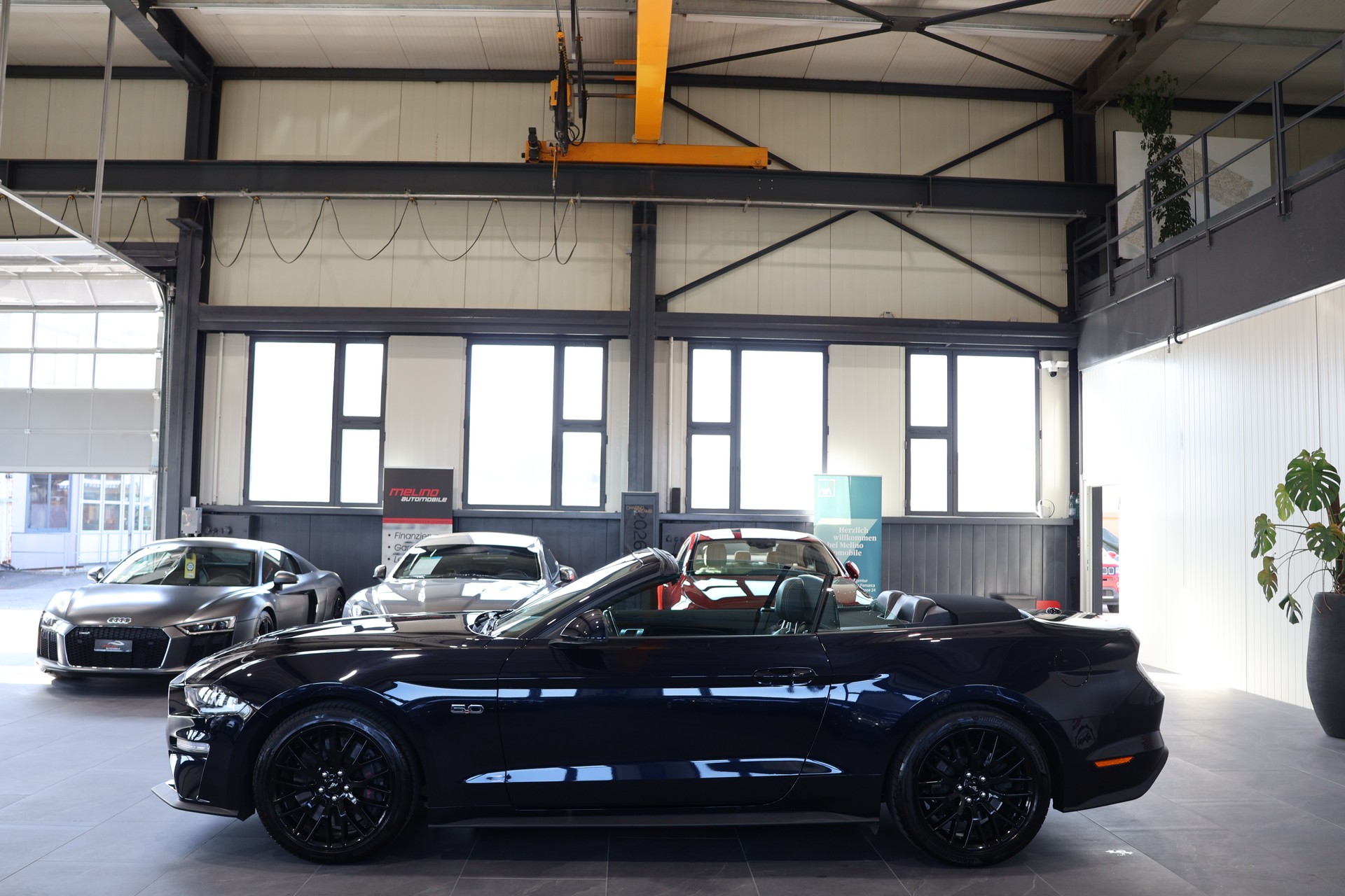 FORD Mustang Convertible 5.0 V8 GT Automat-image-4