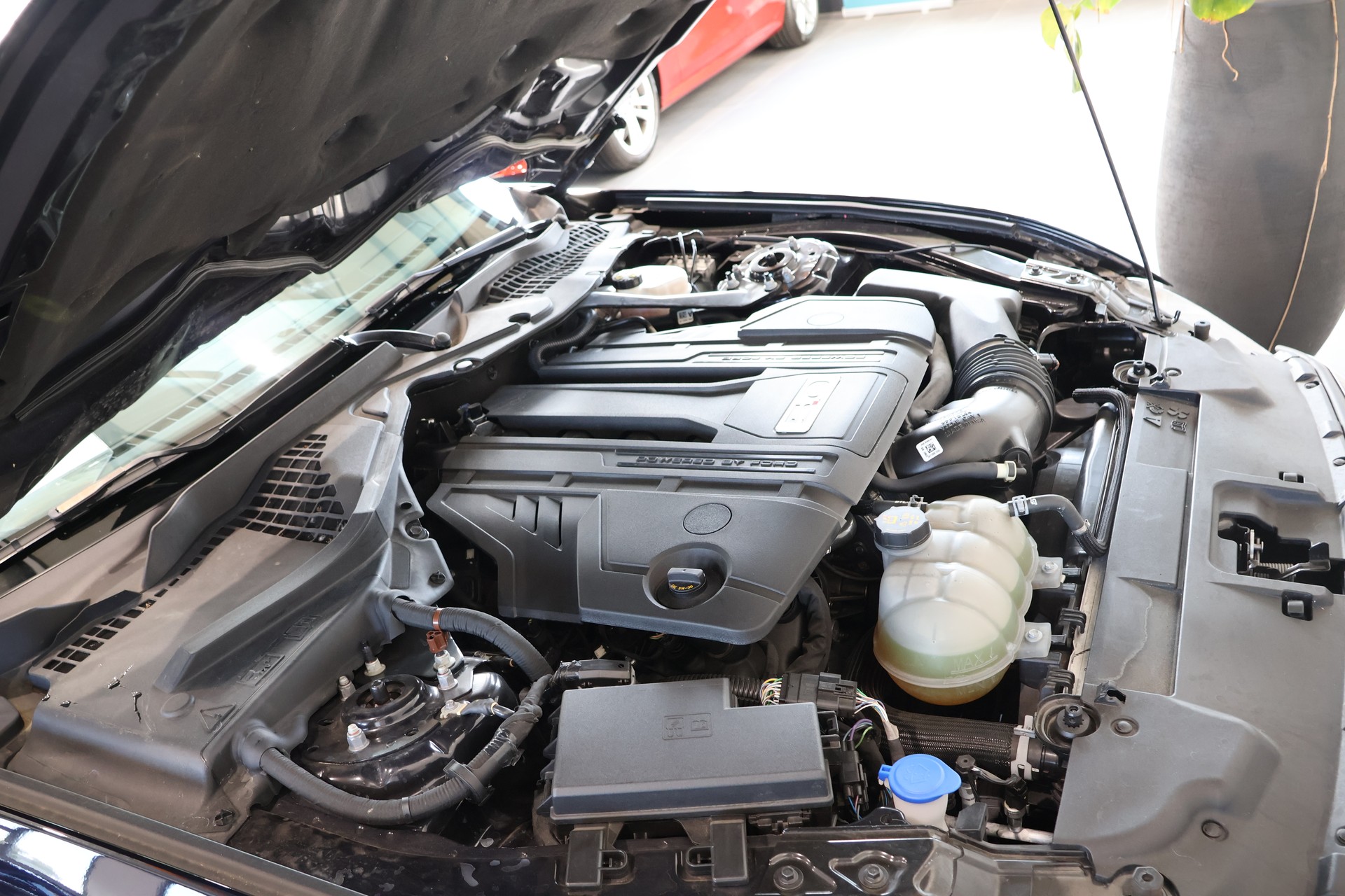 FORD Mustang Convertible 5.0 V8 GT Automat-image-14