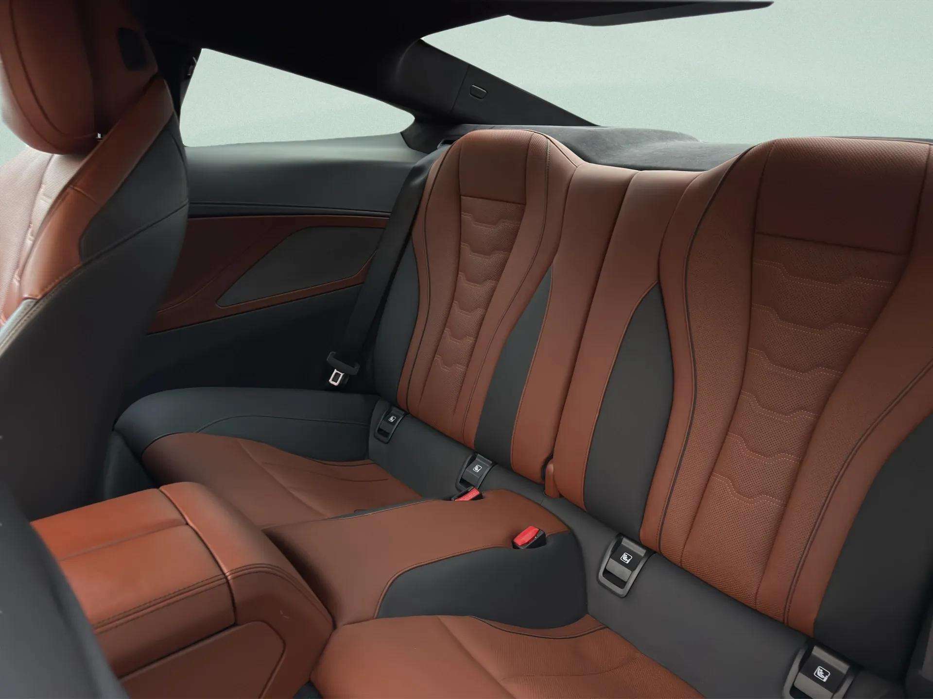 BMW M850i xDrive Steptronic-image-16